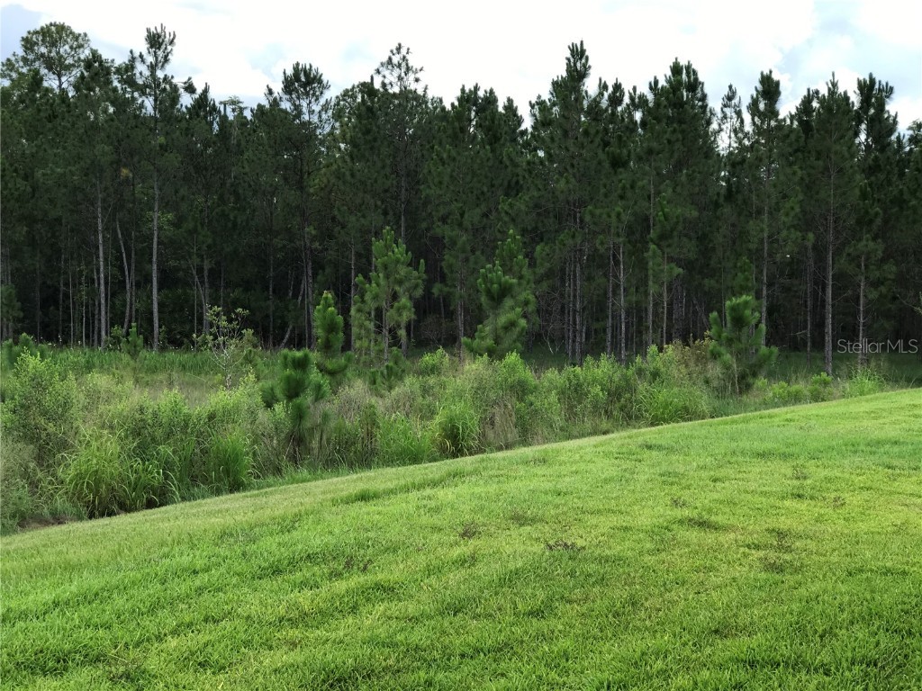 784 Grand Canal Dr Poinciana FL 34759 S5134736 image42