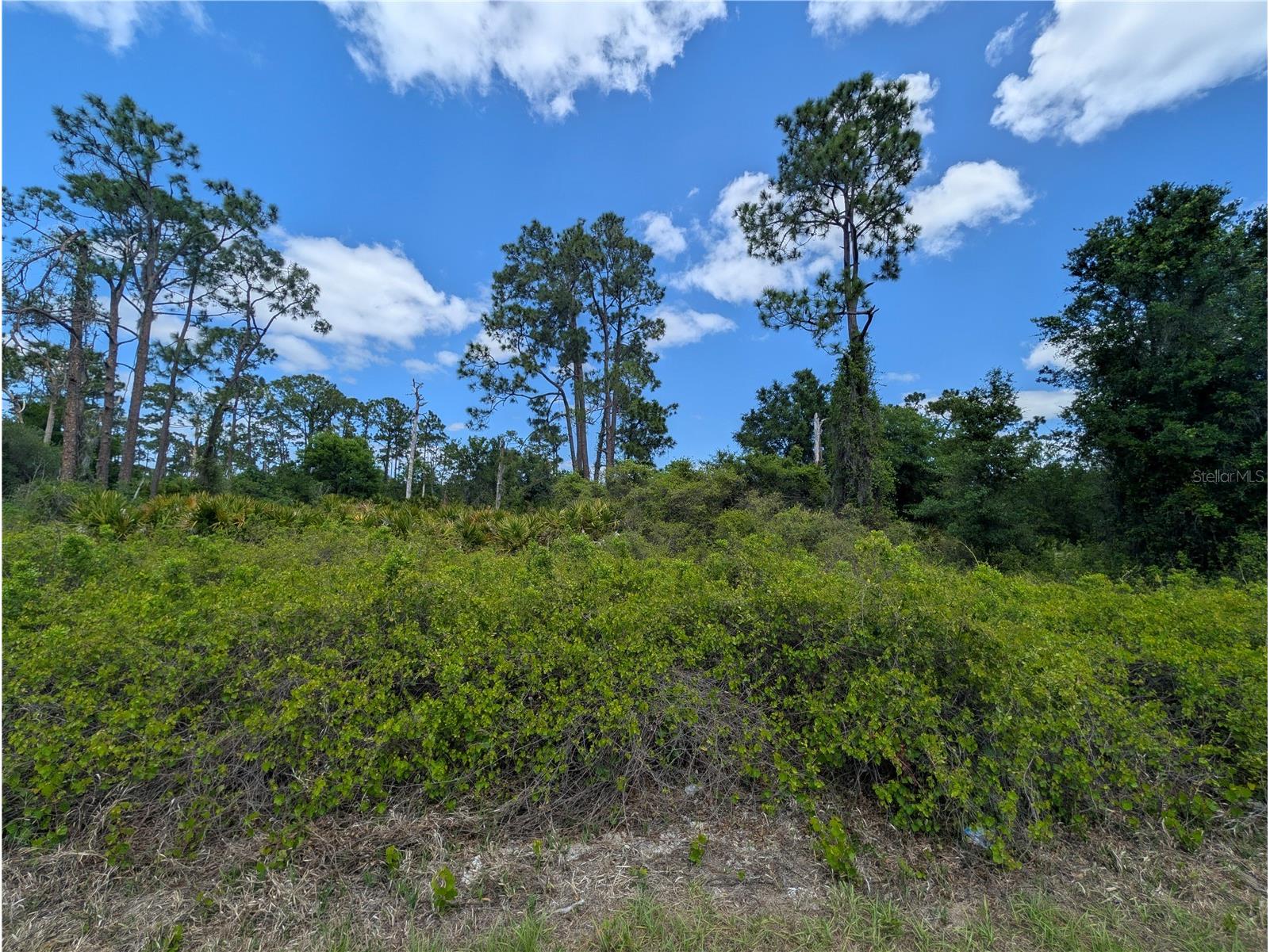 784 Washington Boulevard NE Lake Placid FL 33852 W7884669 image1