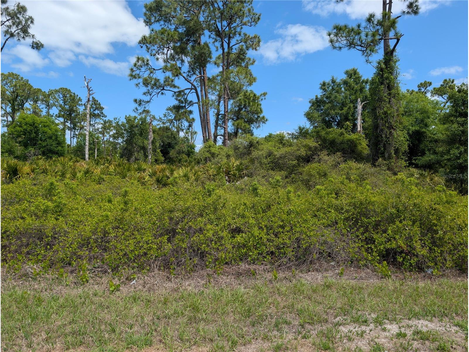784 Washington Boulevard NE Lake Placid FL 33852 W7884669 image2
