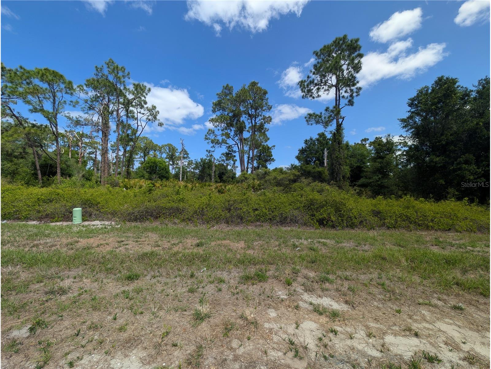 784 Washington Boulevard NE Lake Placid FL 33852 W7884669 image3