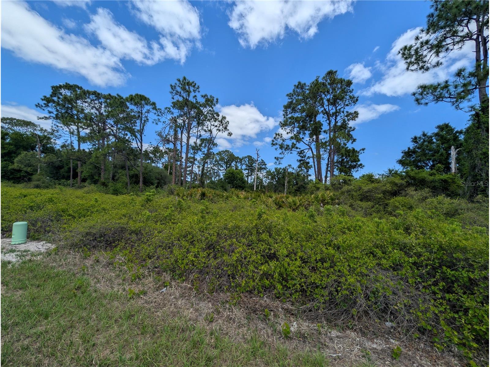 784 Washington Boulevard NE Lake Placid FL 33852 W7884669 image4
