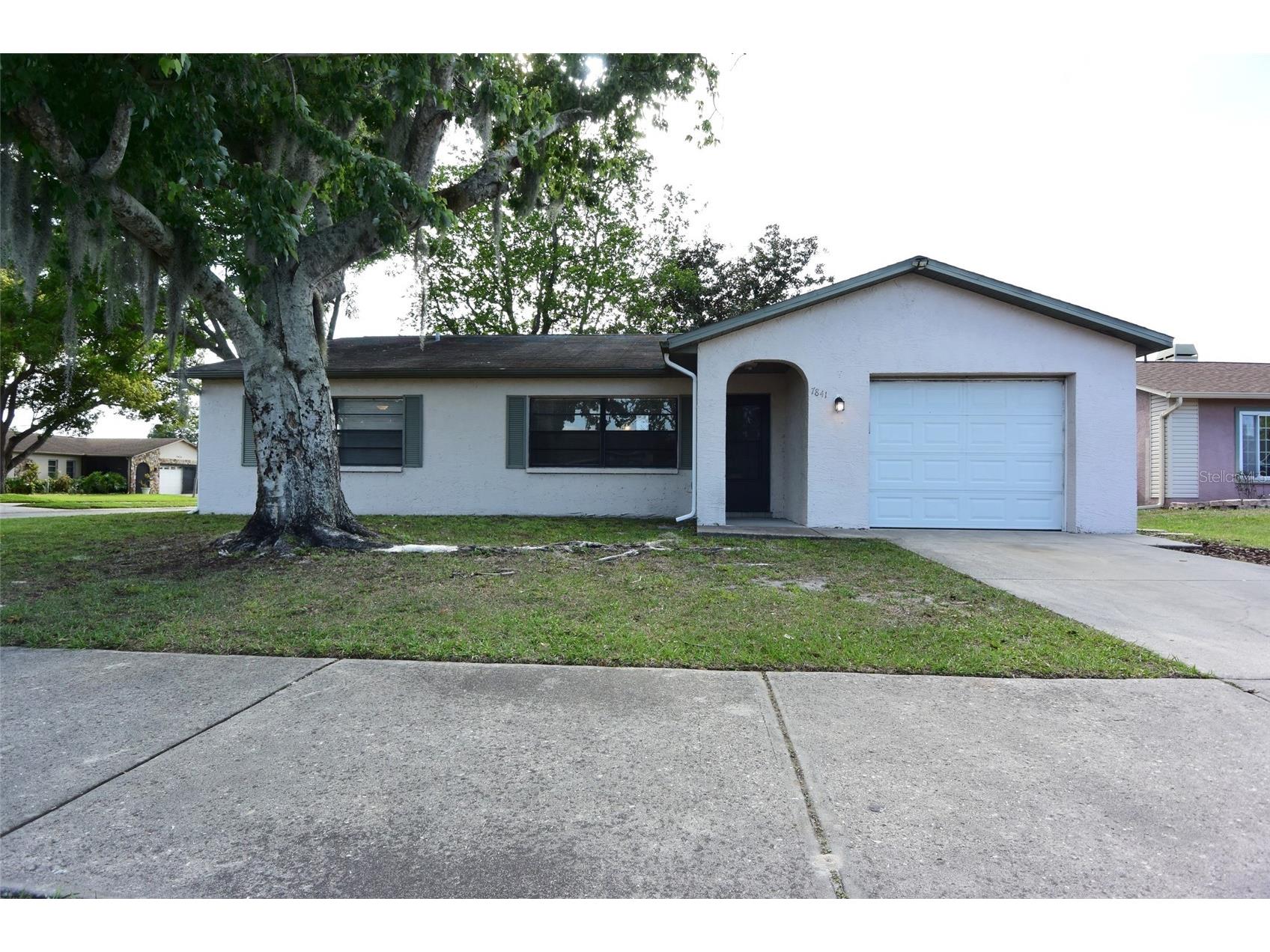 7841 Osteen Road New Port Richey FL 34653 W7884744 image4