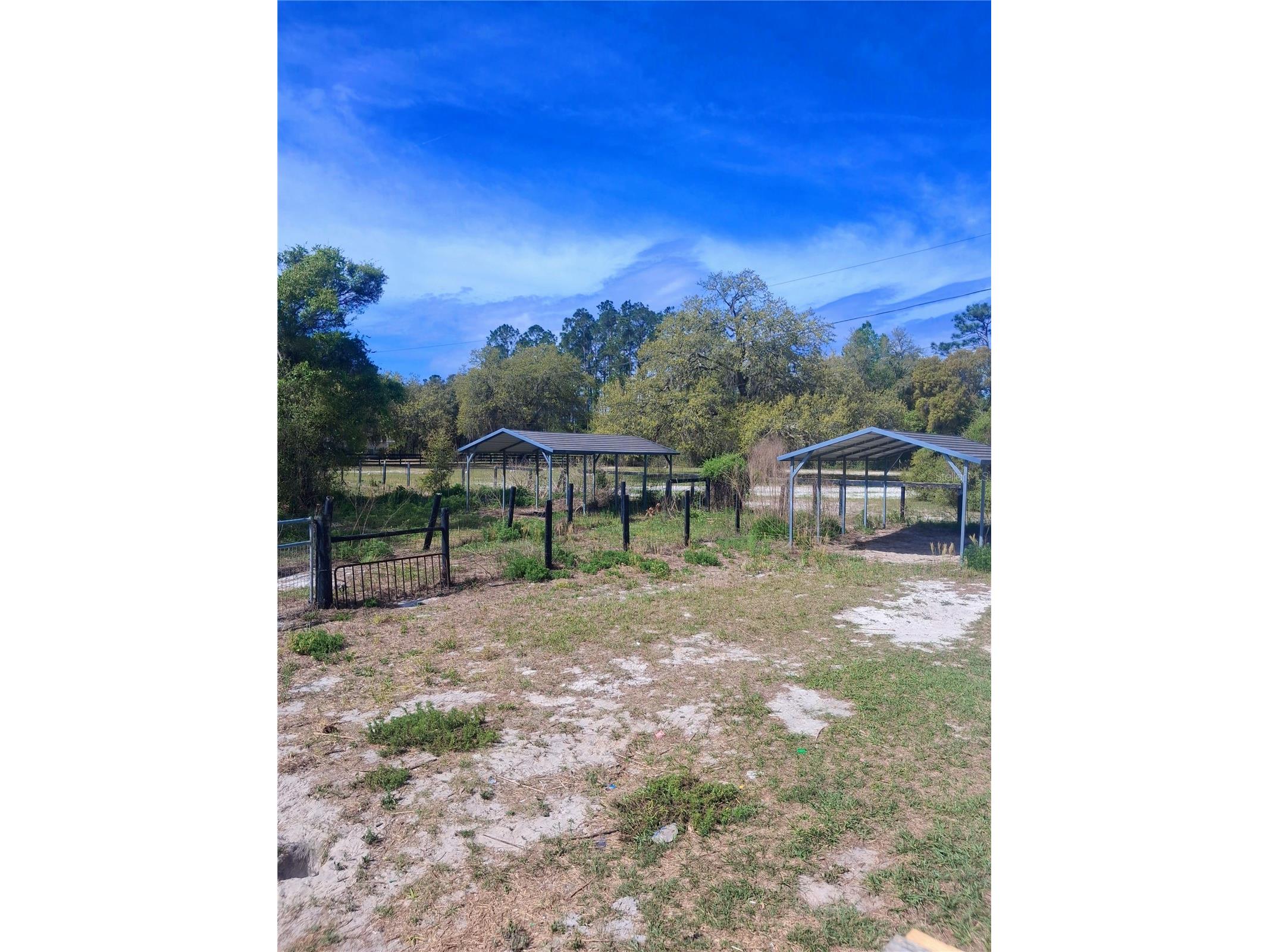 7841 SW 152nd Place Dunnellon FL 34432 O6395659 image29