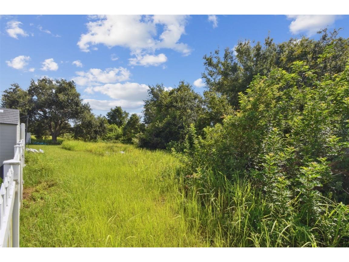 7842 Carriage Pointe Drive Gibsonton FL 33534 TB8405478 image55