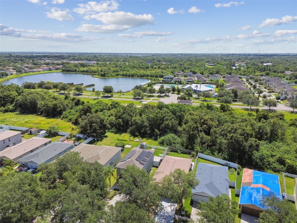 7842 Carriage Pointe Drive Gibsonton FL 33534 TB8405478 image61
