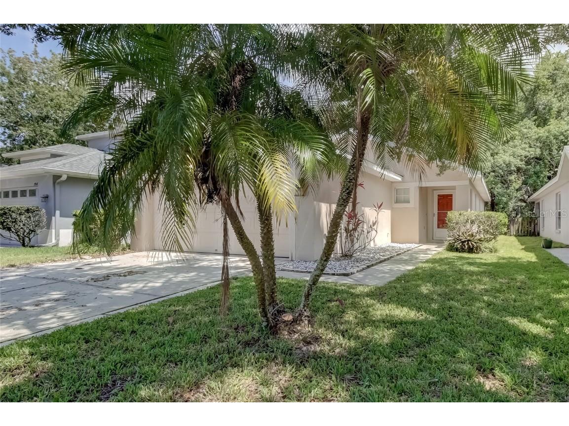 7842 Citrus Blossom Drive Land O Lakes FL 34637 U8204029 image1
