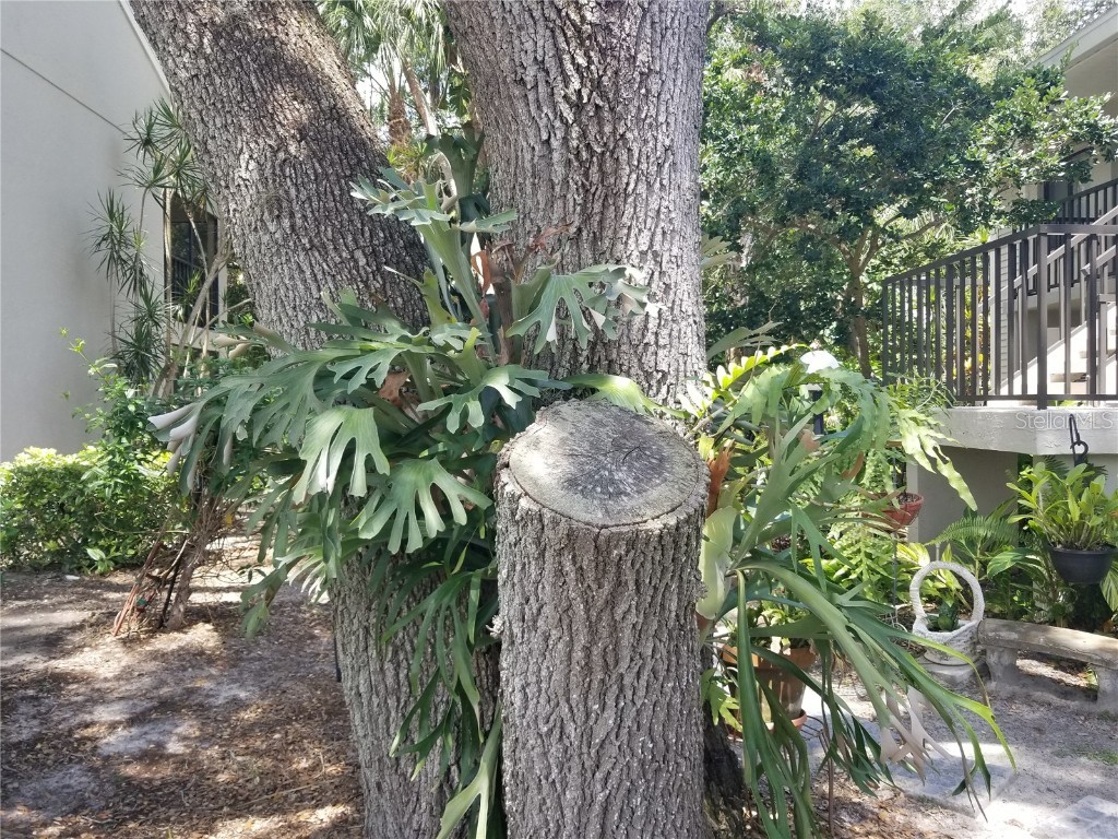 7842 Eagle Creek Drive #7842 Sarasota FL 34243 A4648853 image34