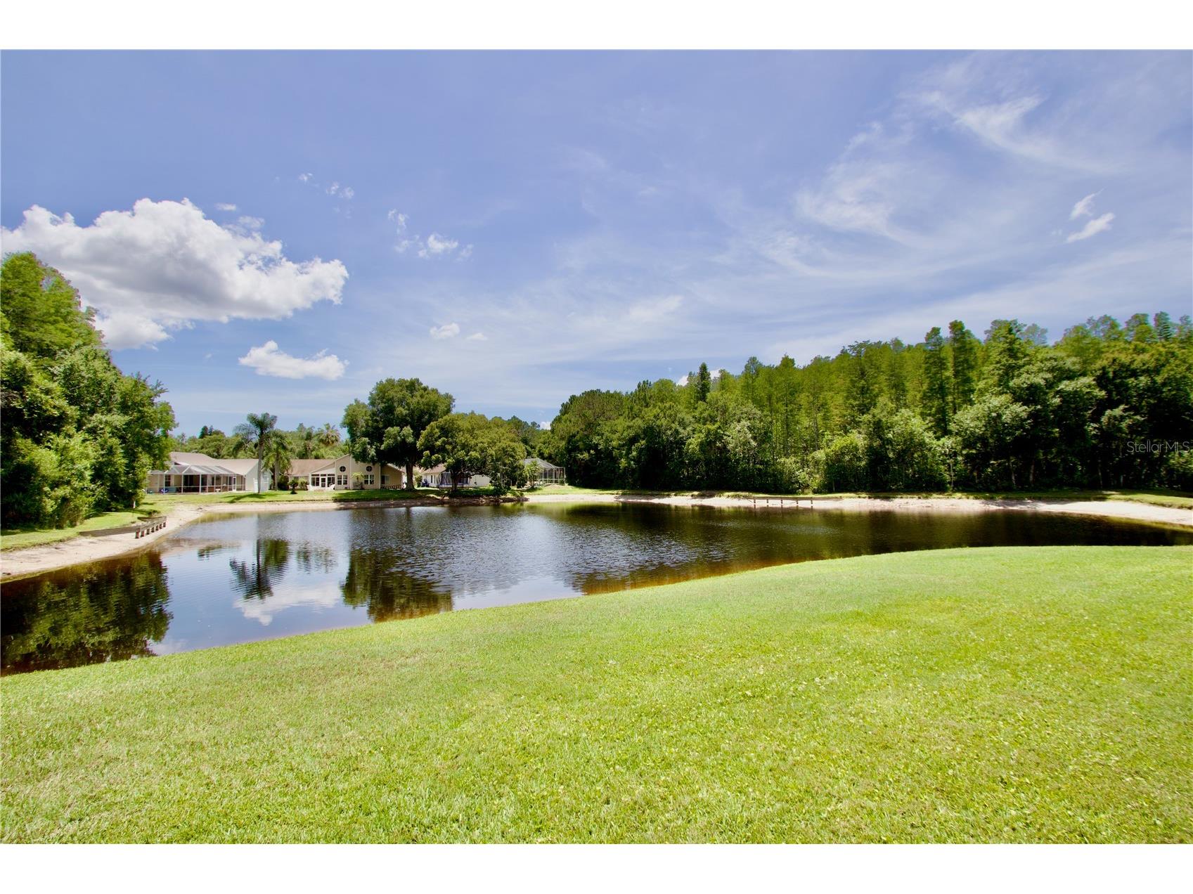 7842 Tenby Court New Port Richey FL 34655 W7886035 image19