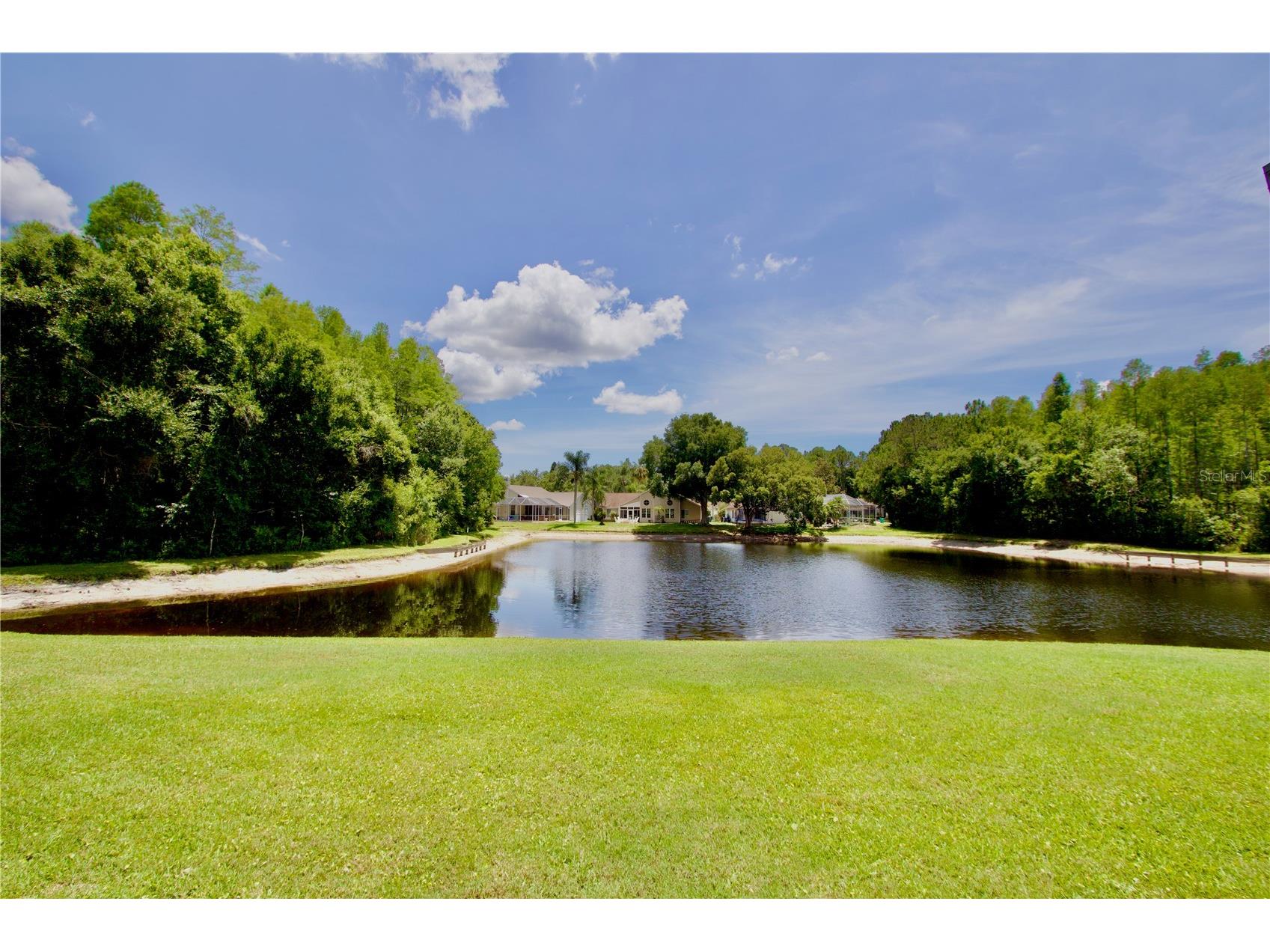 7842 Tenby Court New Port Richey FL 34655 W7886035 image20