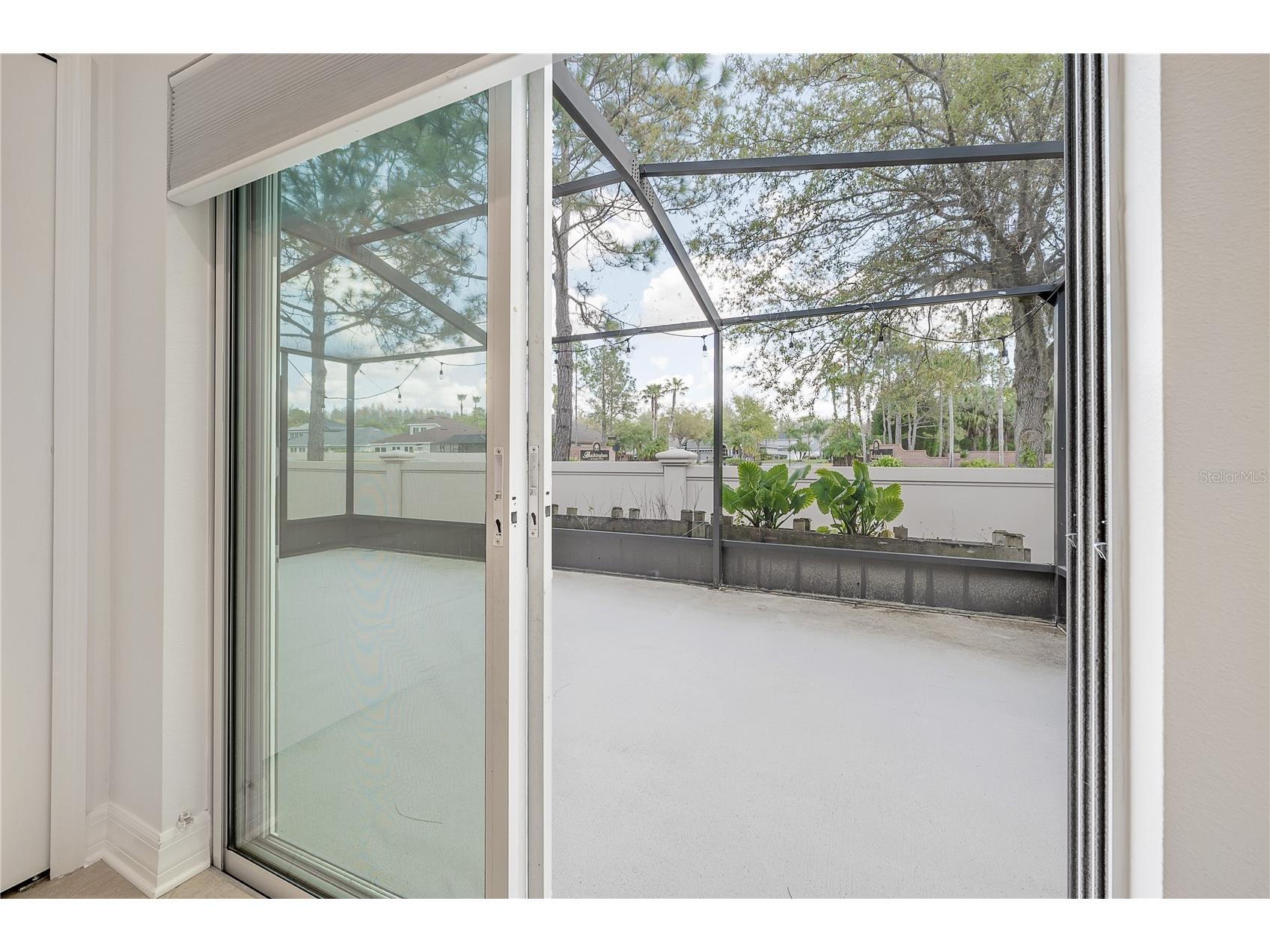 7843 Tuscany Woods Drive Tampa FL 33647 TB8464444 image28