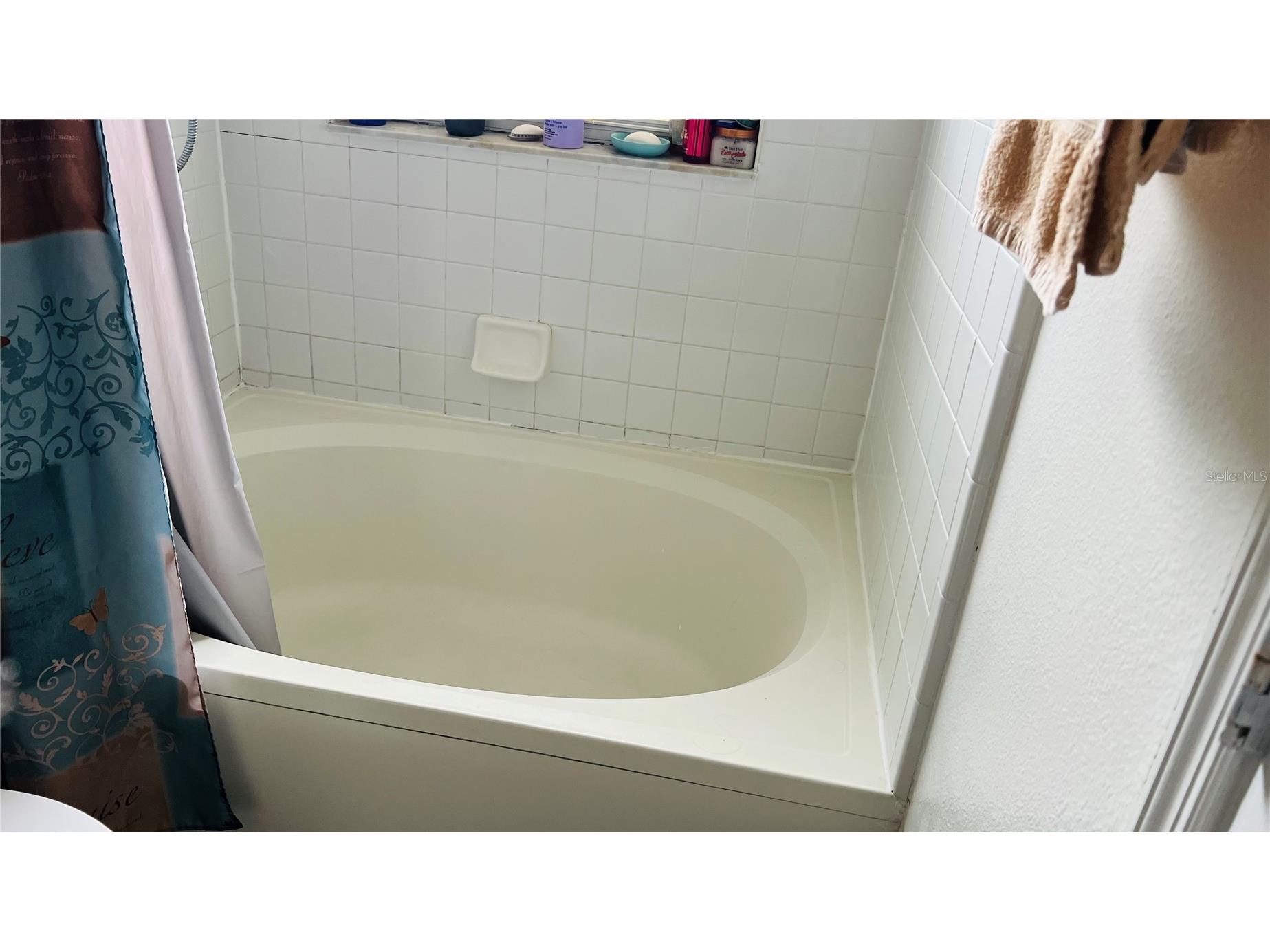 7844 Sagebrush Place Orlando FL 32822 S5141870 image25