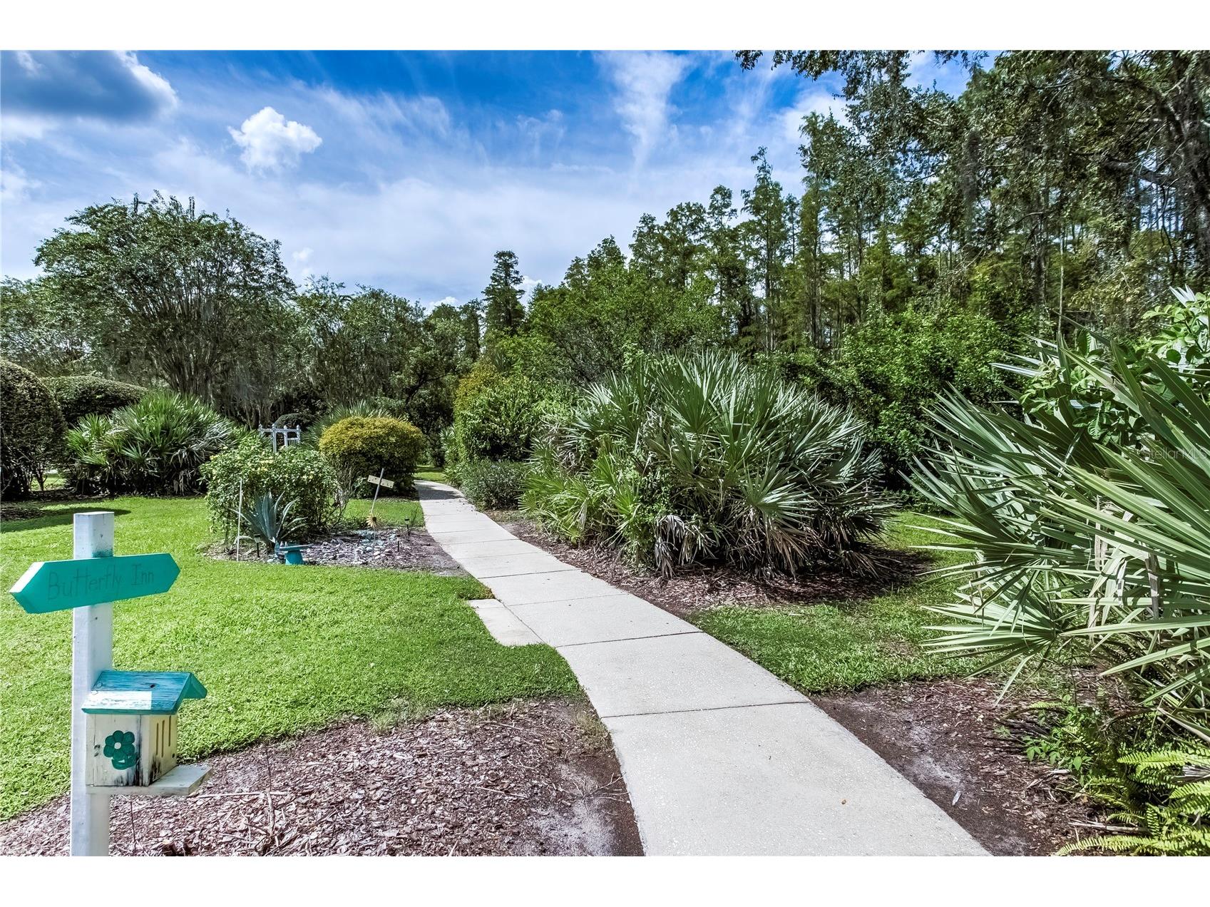 7845 Genoa Lane Land O Lakes FL 34637 TB8502730 image31