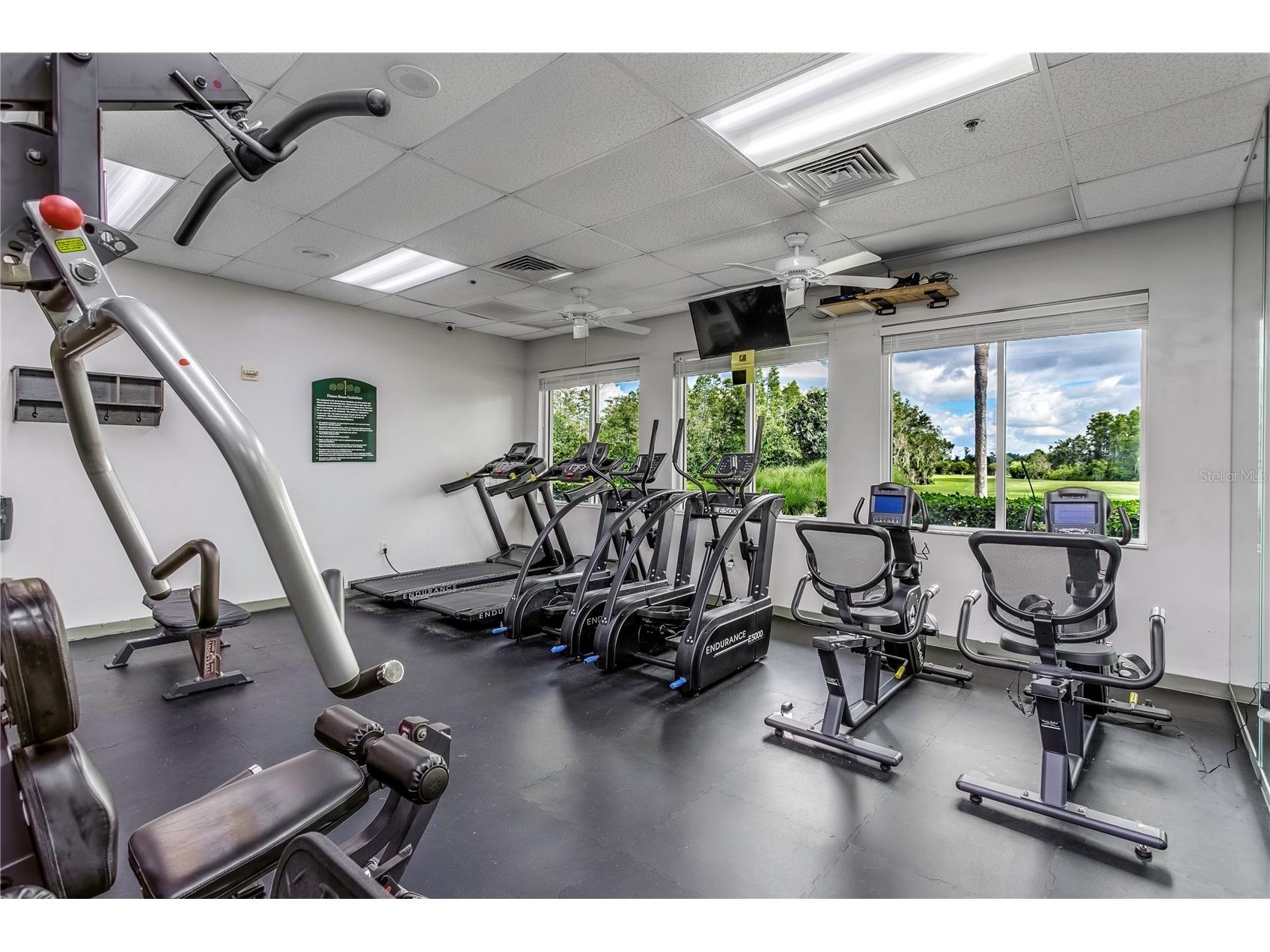 7845 Genoa Lane Land O Lakes FL 34637 TB8502730 image32