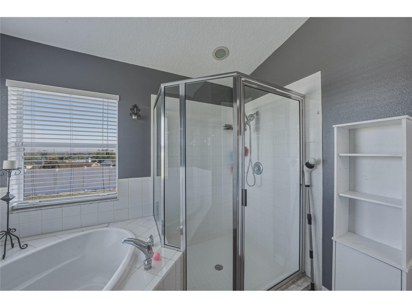 7845 Merchantville Circle Zephyrhills FL 33540 TB8481517 image46
