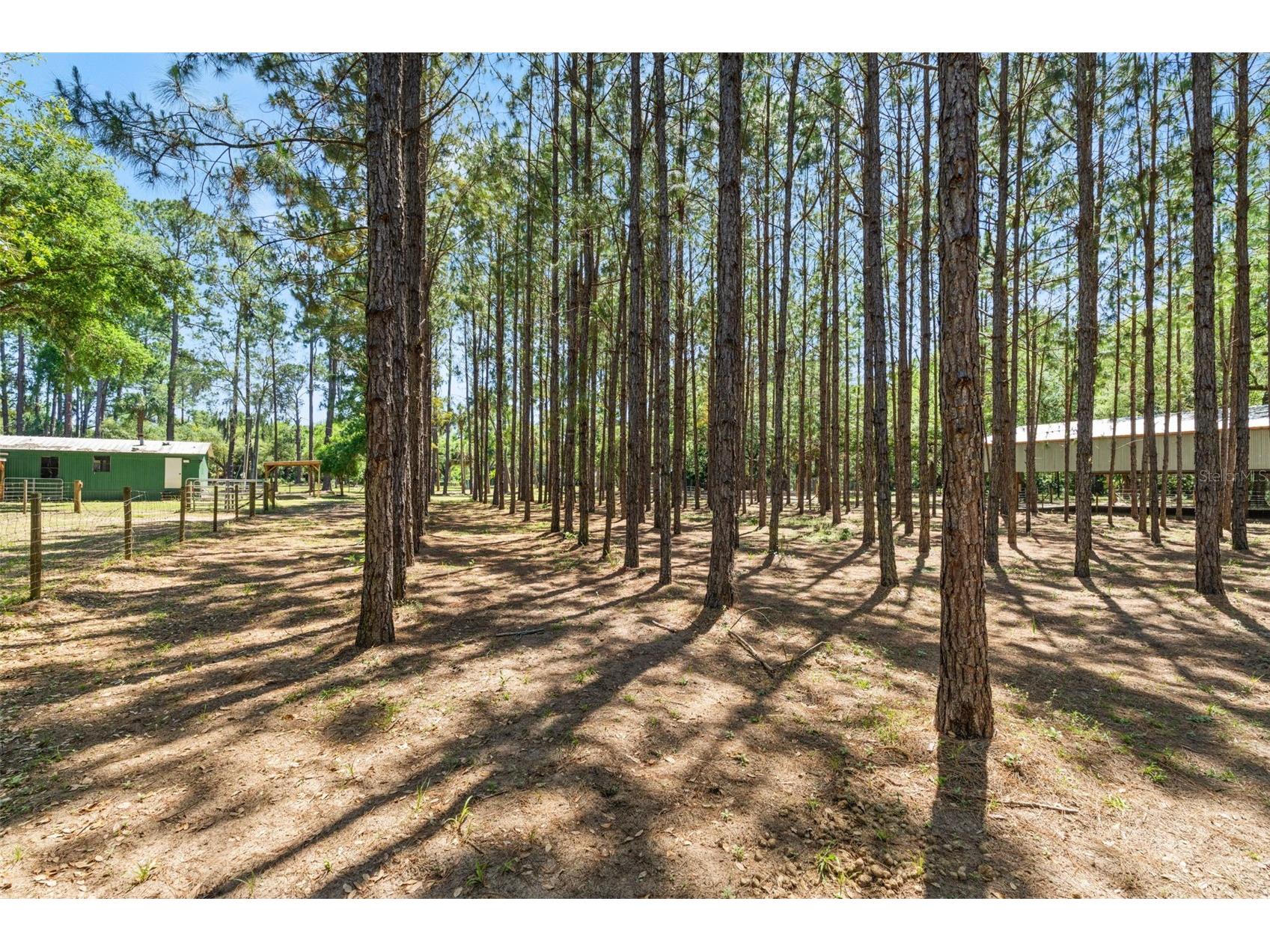 7845 N Flame Vine Way Crystal River FL 34428 W7885248 image71
