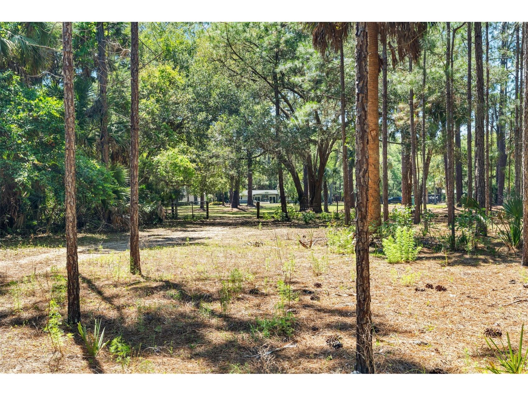 7845 N Flame Vine Way Crystal River FL 34428 W7885248 image79