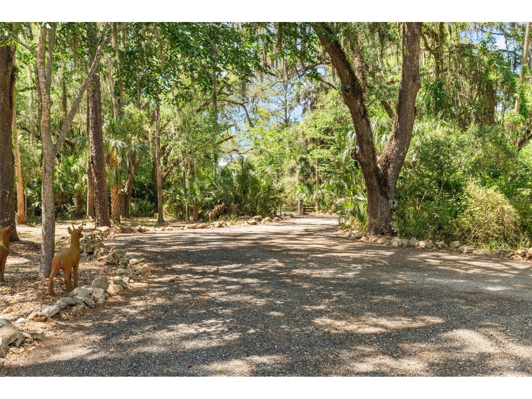 7845 N Flame Vine Way Crystal River FL 34428 W7885248 image82