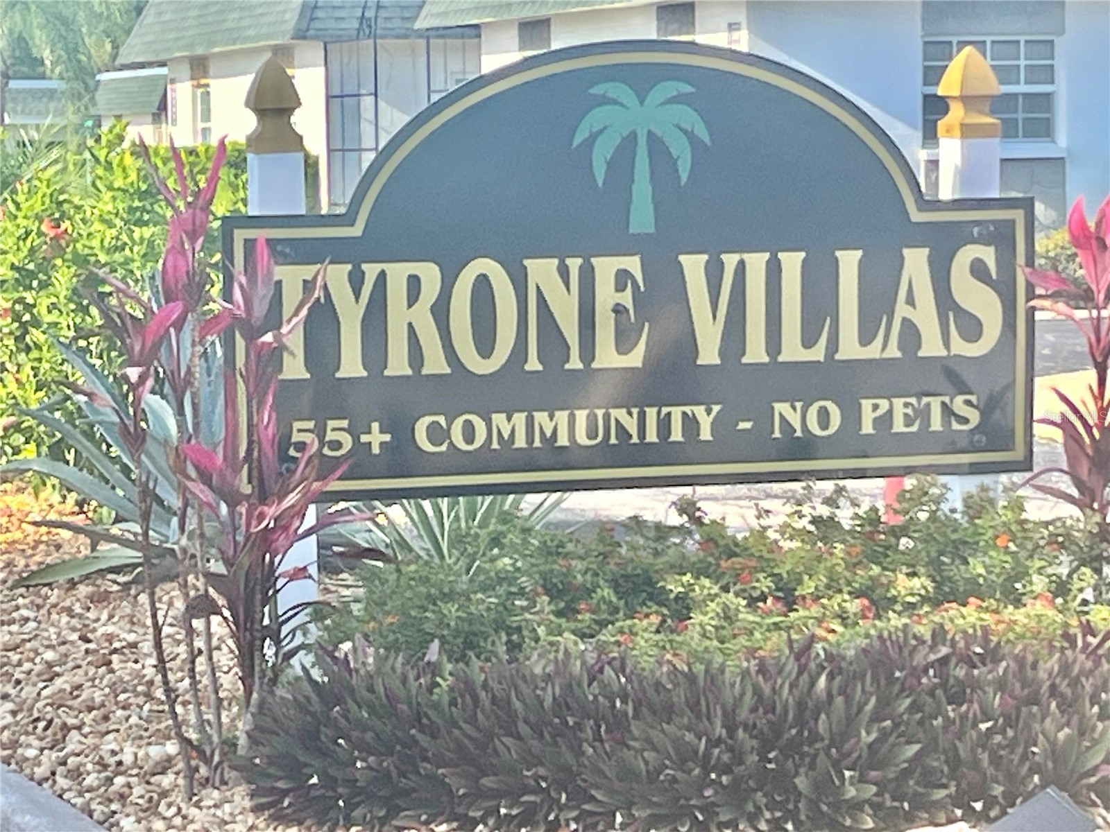 7847 39th Terrace N Saint Petersburg FL 33709 TB8499504 image3