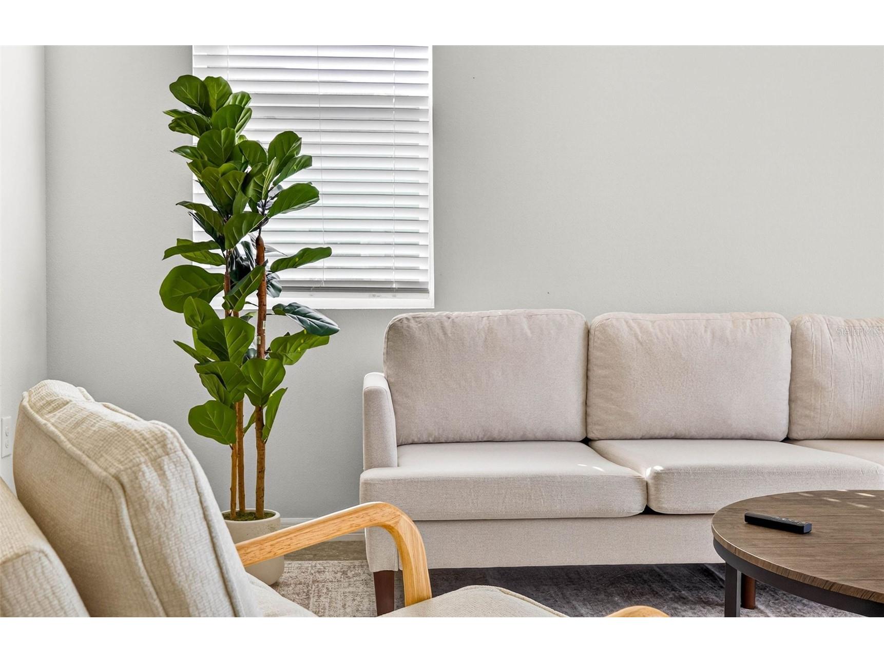 7847 Stonebrook Circle Wesley Chapel FL 33545 TB8431431 image11