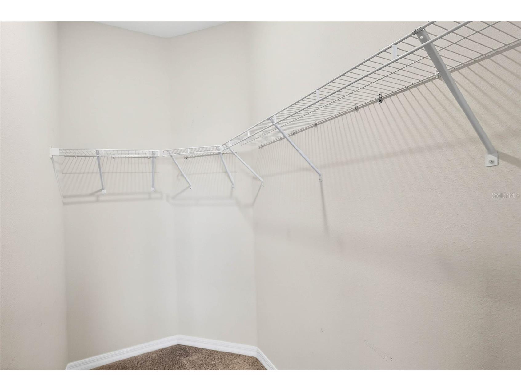 7847 Stonebrook Circle Wesley Chapel FL 33545 TB8431431 image29