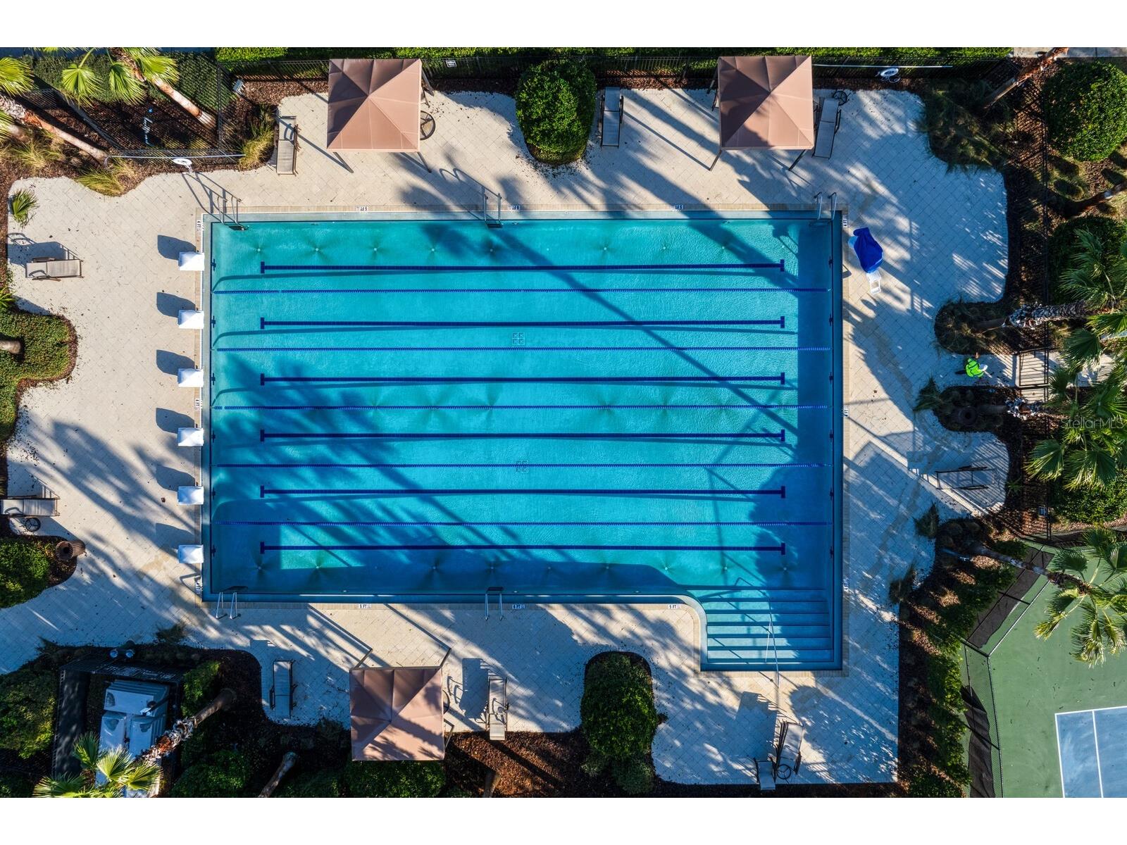 7847 Stonebrook Circle Wesley Chapel FL 33545 TB8431431 image52