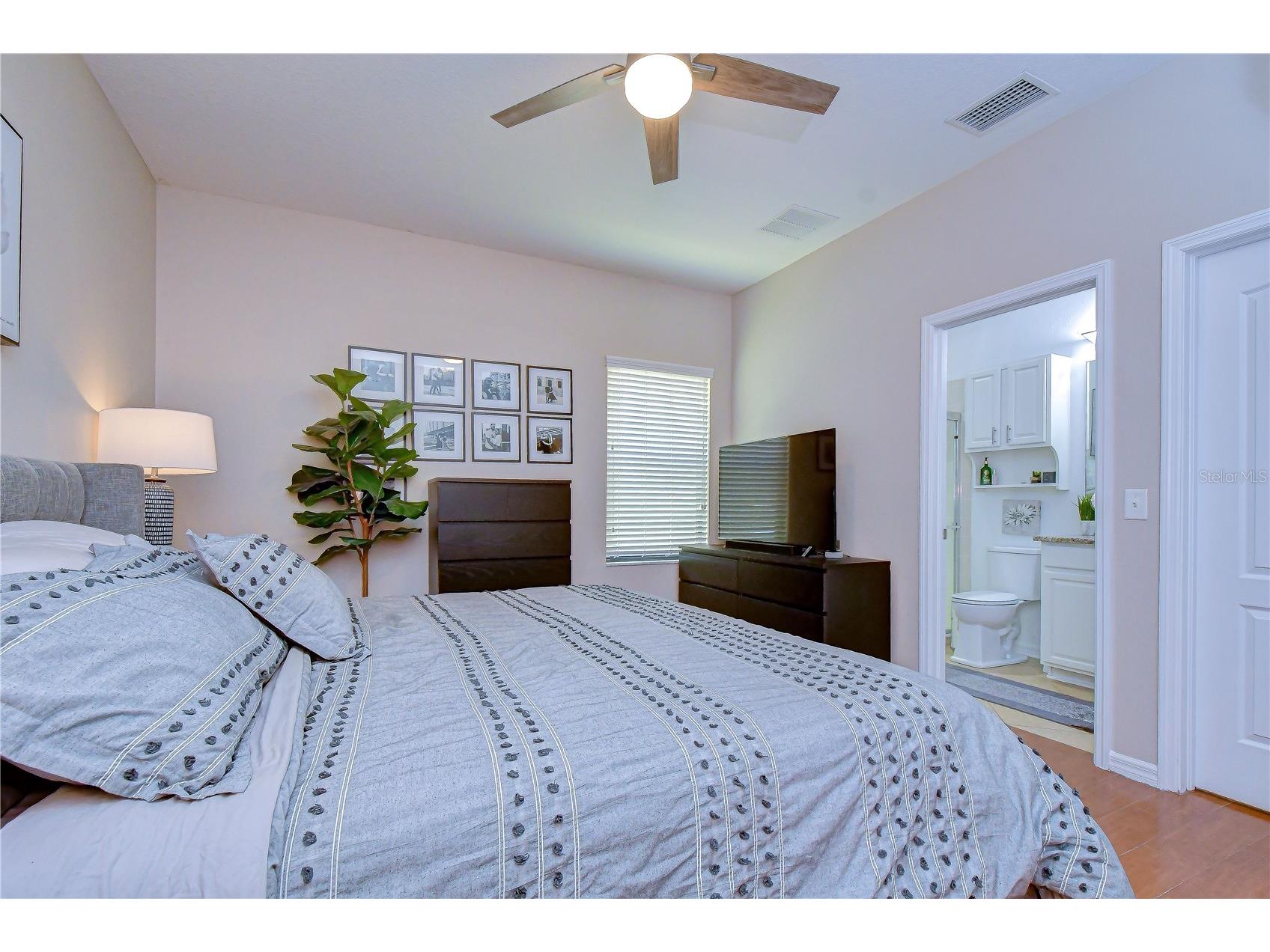 7847 Tuscany Woods Drive Tampa FL 33647 TB8512323 image26
