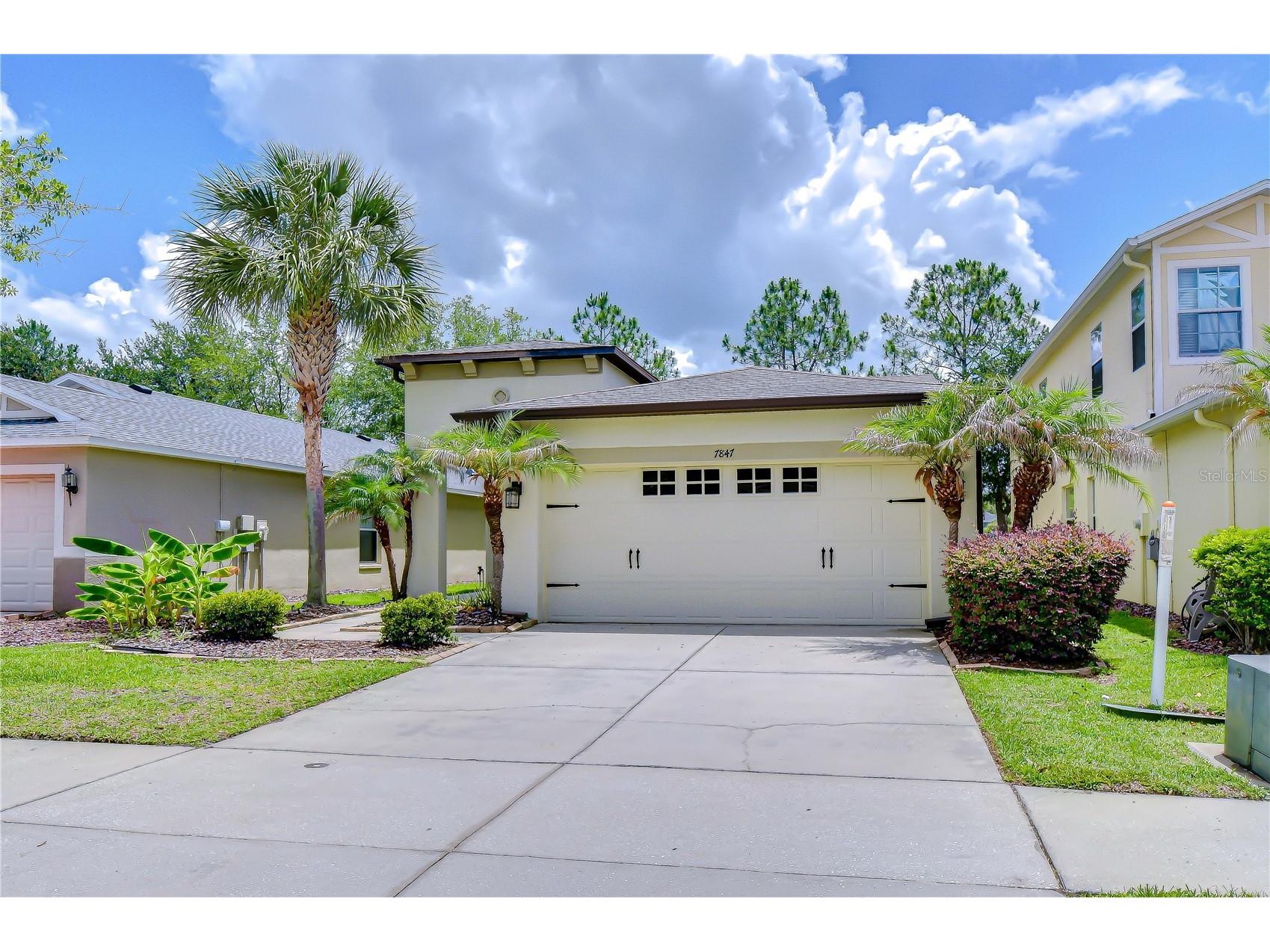 7847 Tuscany Woods Drive Tampa FL 33647 TB8512323 image33