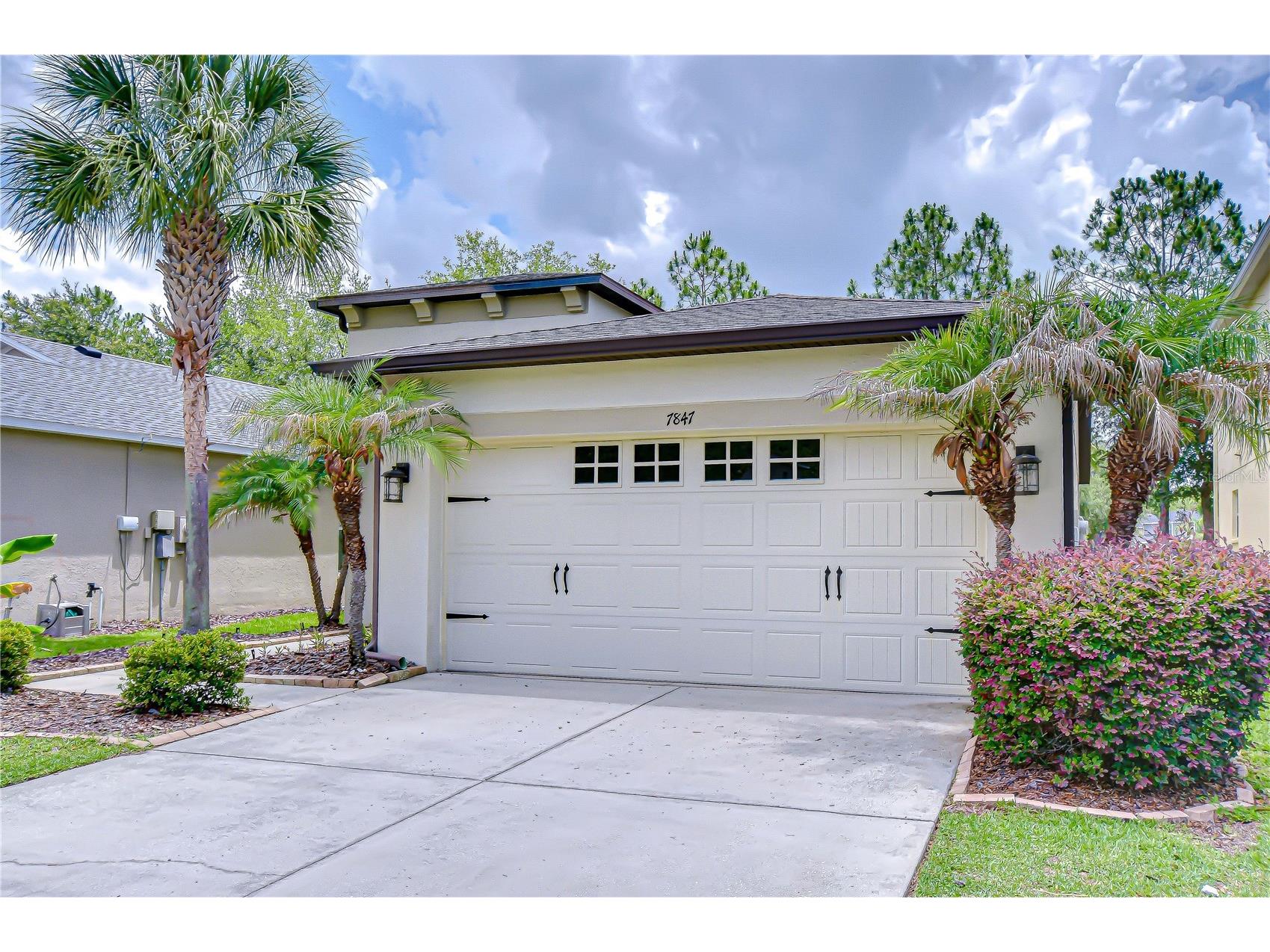 7847 Tuscany Woods Drive Tampa FL 33647 TB8512323 image36