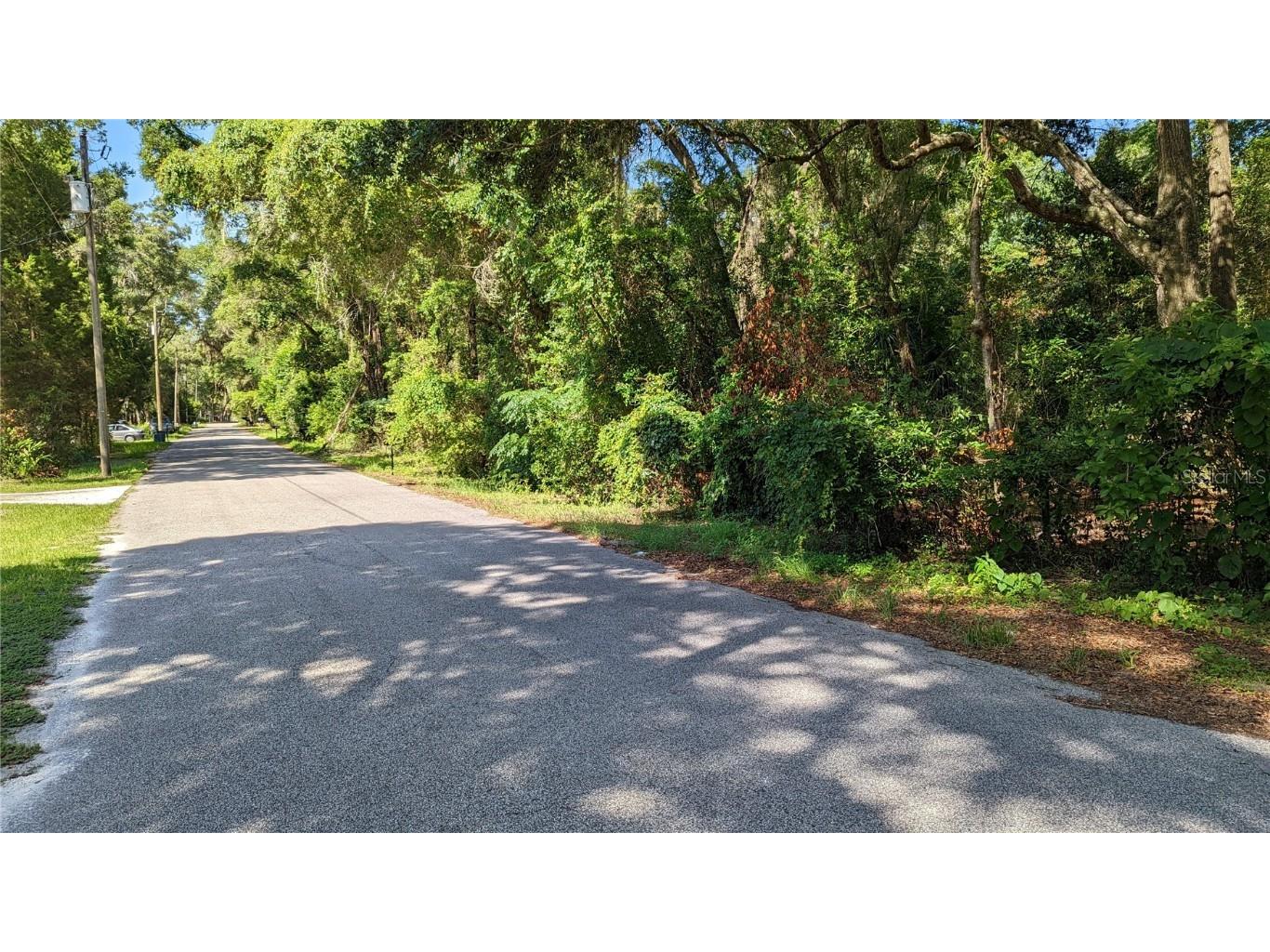 7848 N Hamilton Road Dunnellon FL 34433 U8166606 image1