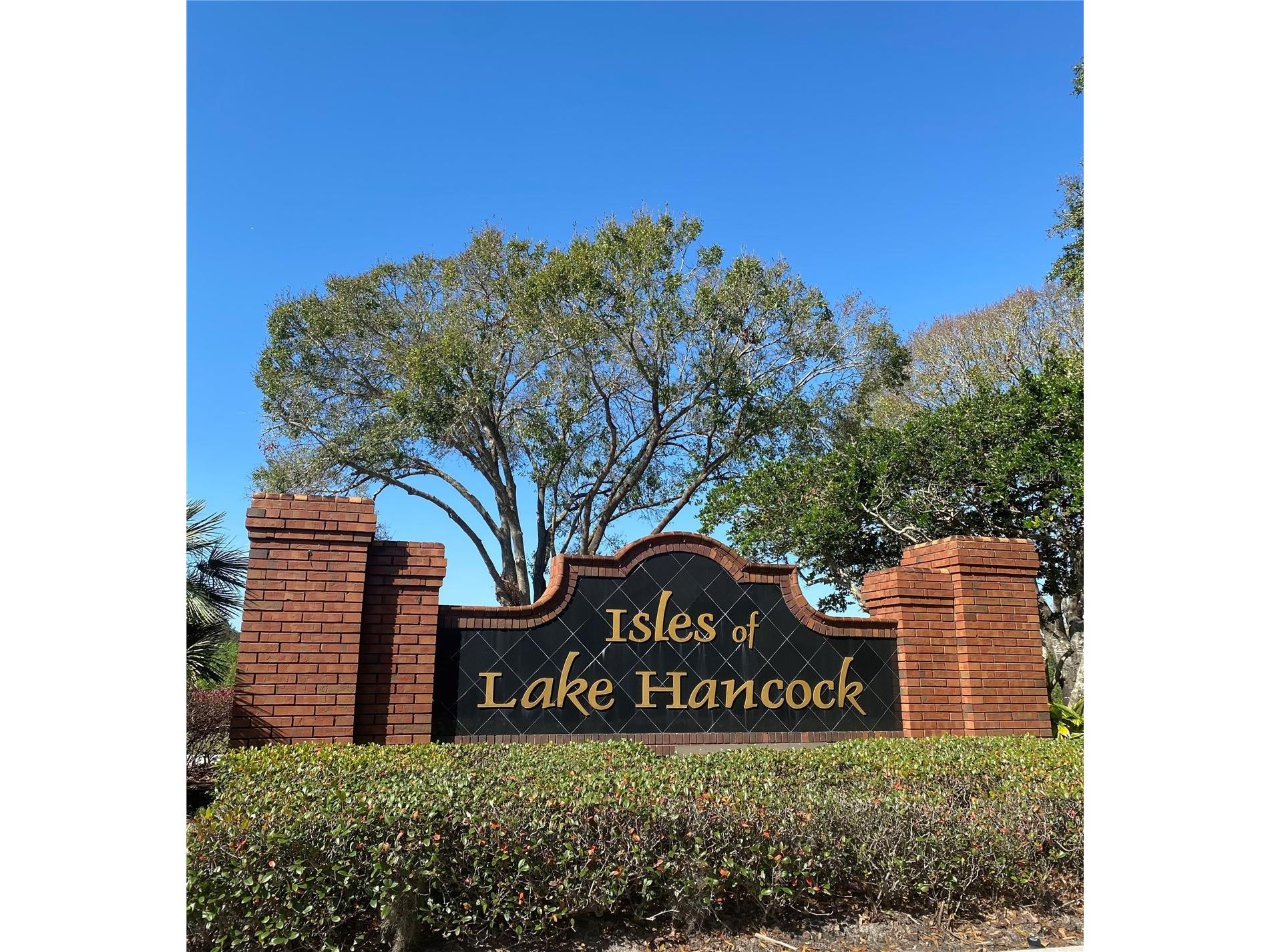 7849 Freestyle Lane Winter Garden FL 34787 O6395909 image36