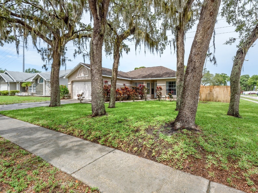 7849 Mcpherson Drive New Port Richey FL 34653 U8204721 image1