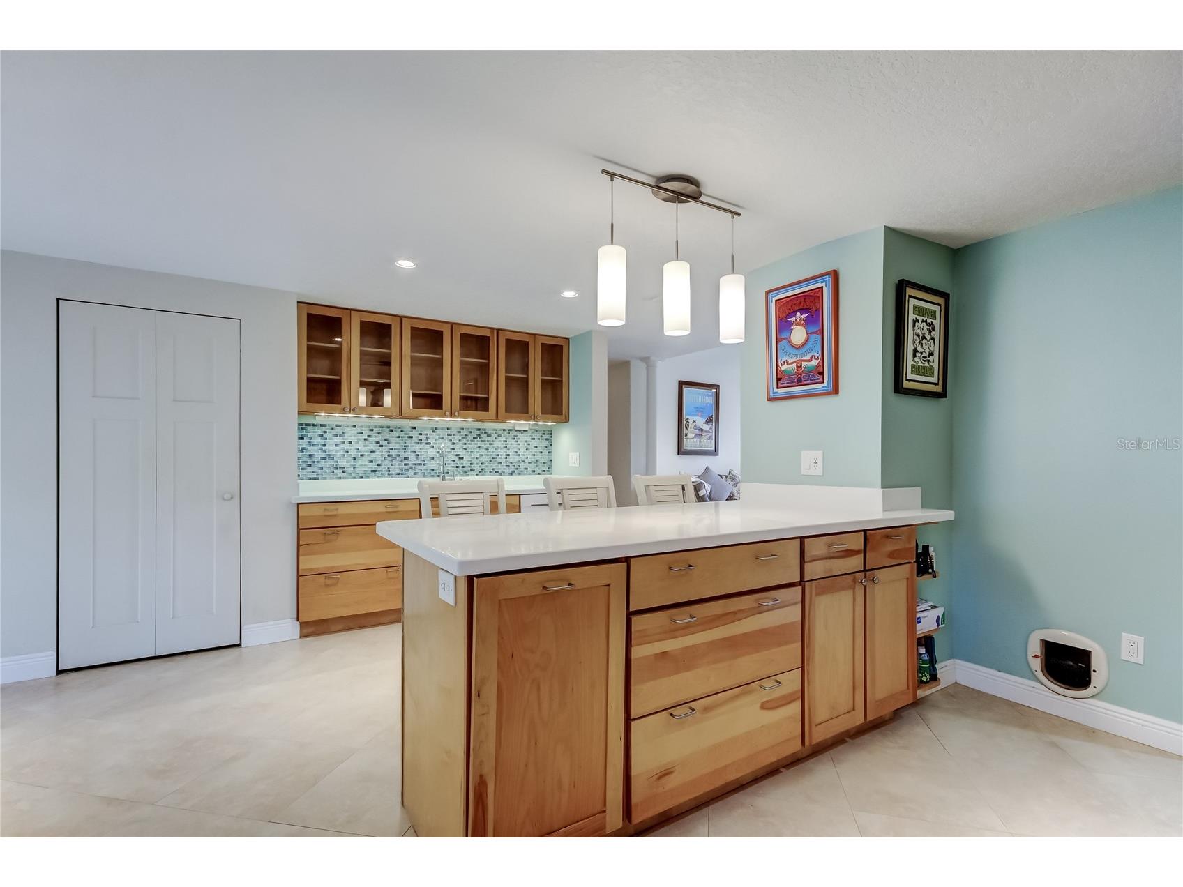 785 5th Street S Safety Harbor FL 34695 TB8375848 image18