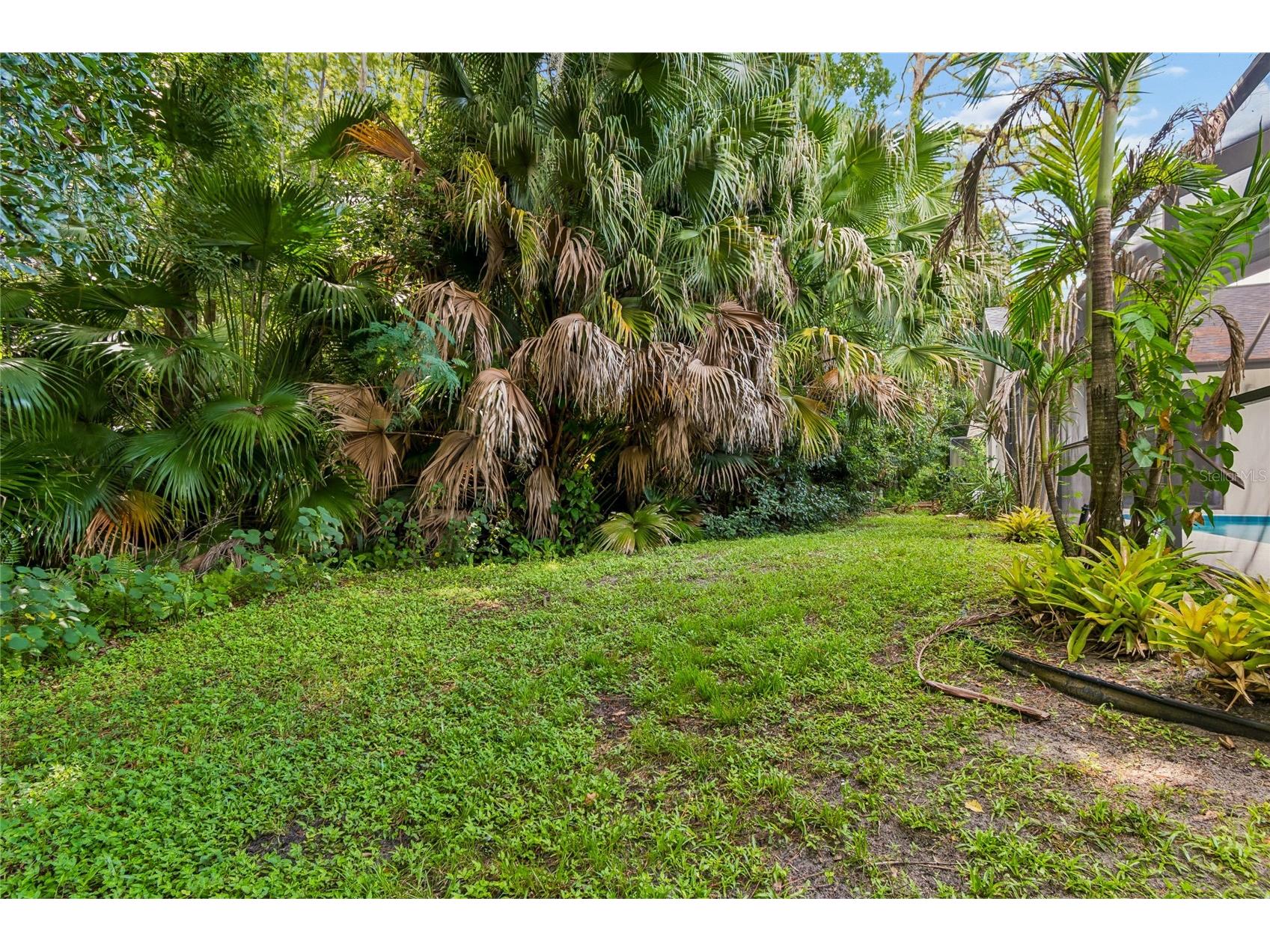 785 Centerwood Drive Tarpon Springs FL 34688 TB8529279 image39