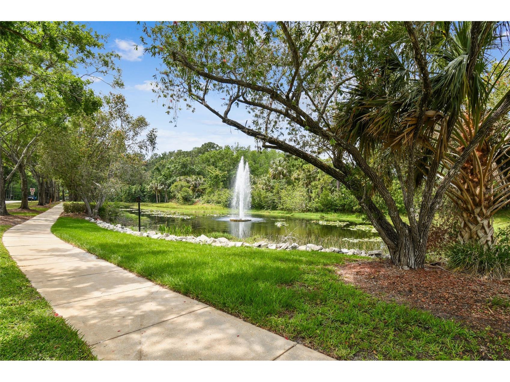 785 Centerwood Drive Tarpon Springs FL 34688 TB8529279 image42