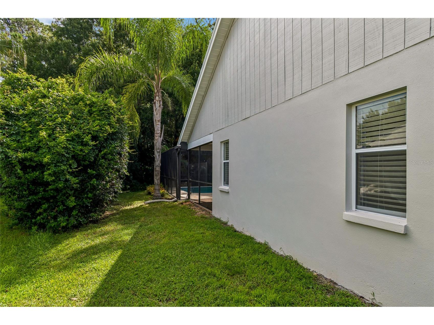 785 Centerwood Drive Tarpon Springs FL 34688 TB8529279 image43