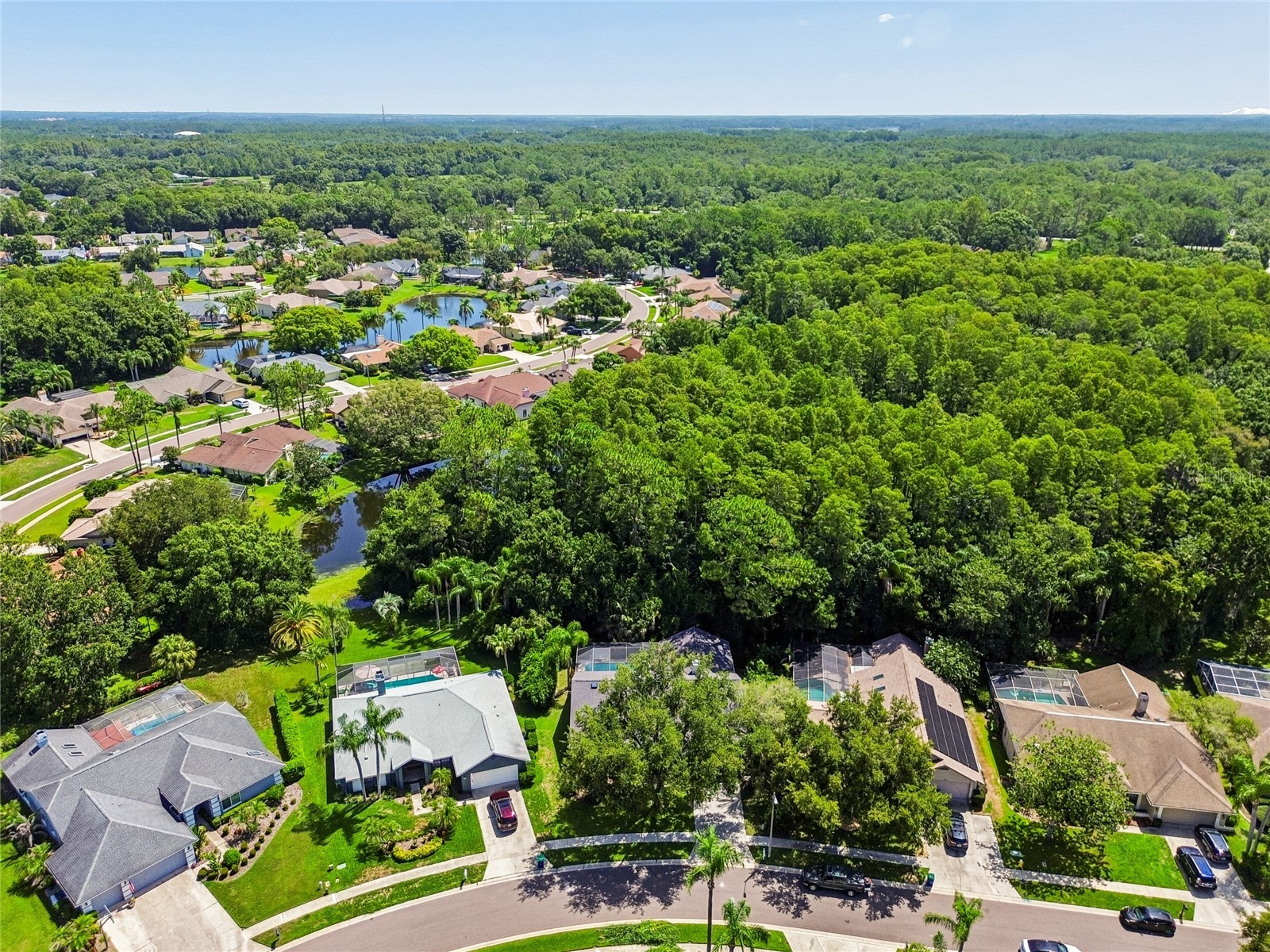 785 Centerwood Drive Tarpon Springs FL 34688 TB8529279 image46