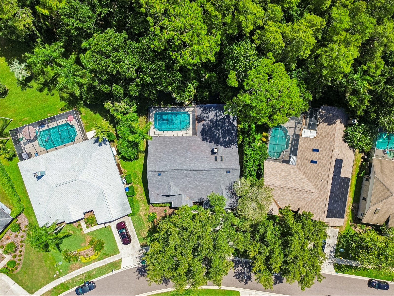 785 Centerwood Drive Tarpon Springs FL 34688 TB8529279 image49