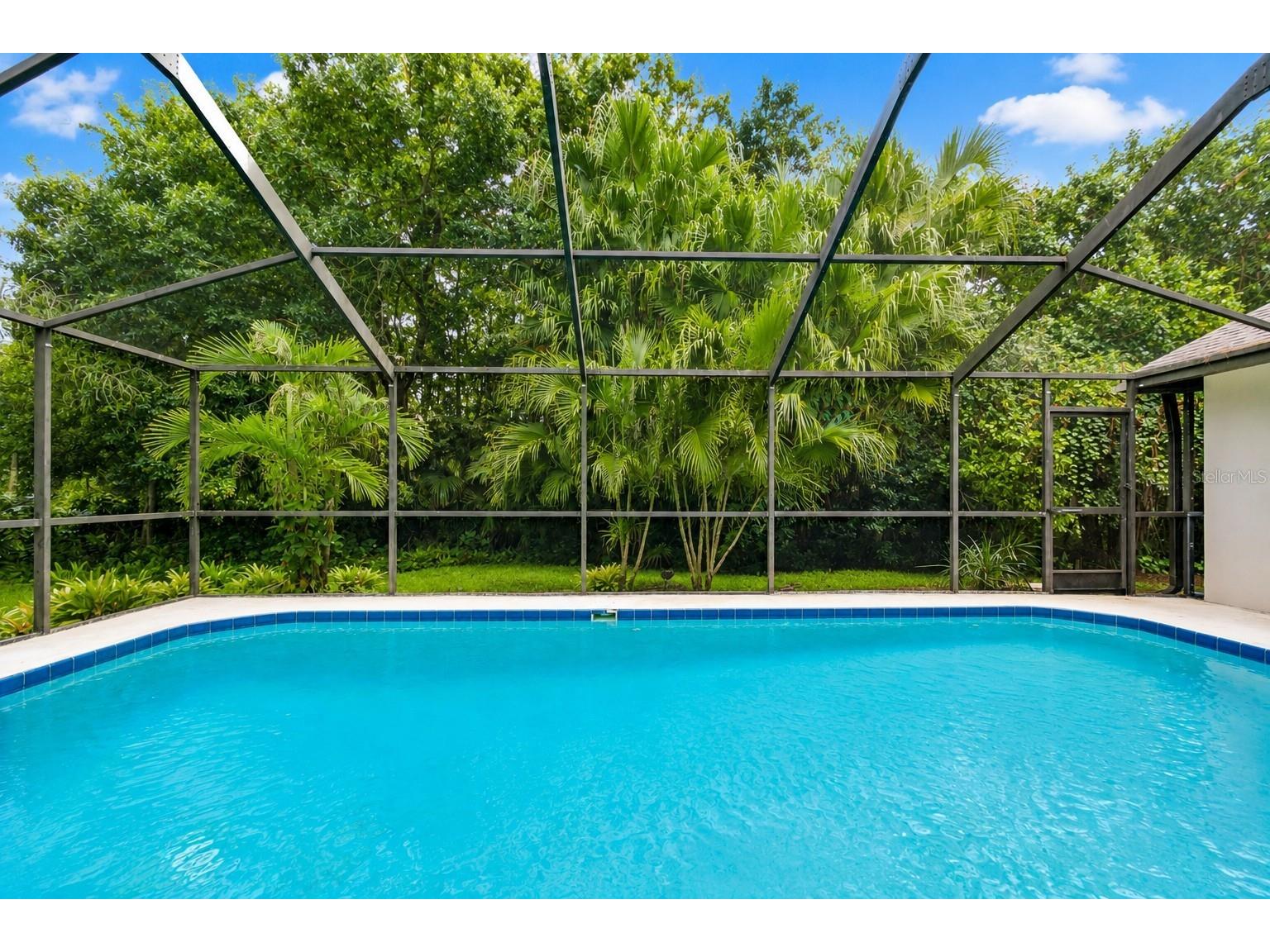 785 Centerwood Drive Tarpon Springs FL 34688 TB8529279 image6