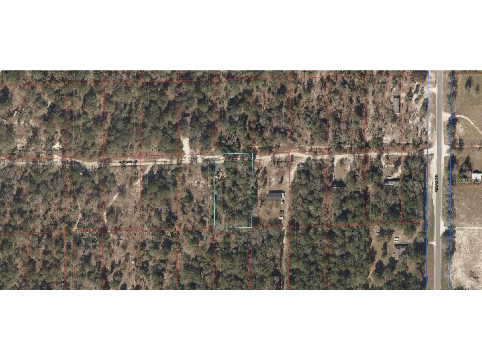 7850 NE 125th Street Bronson FL 32621 O6074275 image1