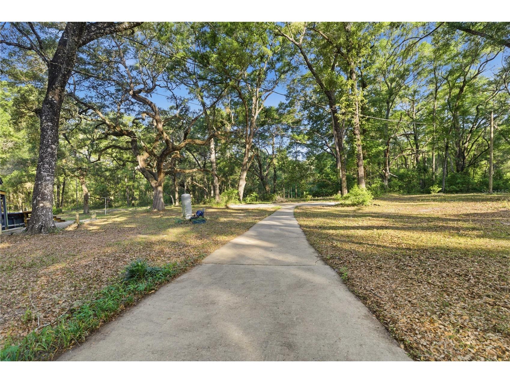 7850 NE 178th Terrace Williston FL 32696 OM723598 image50