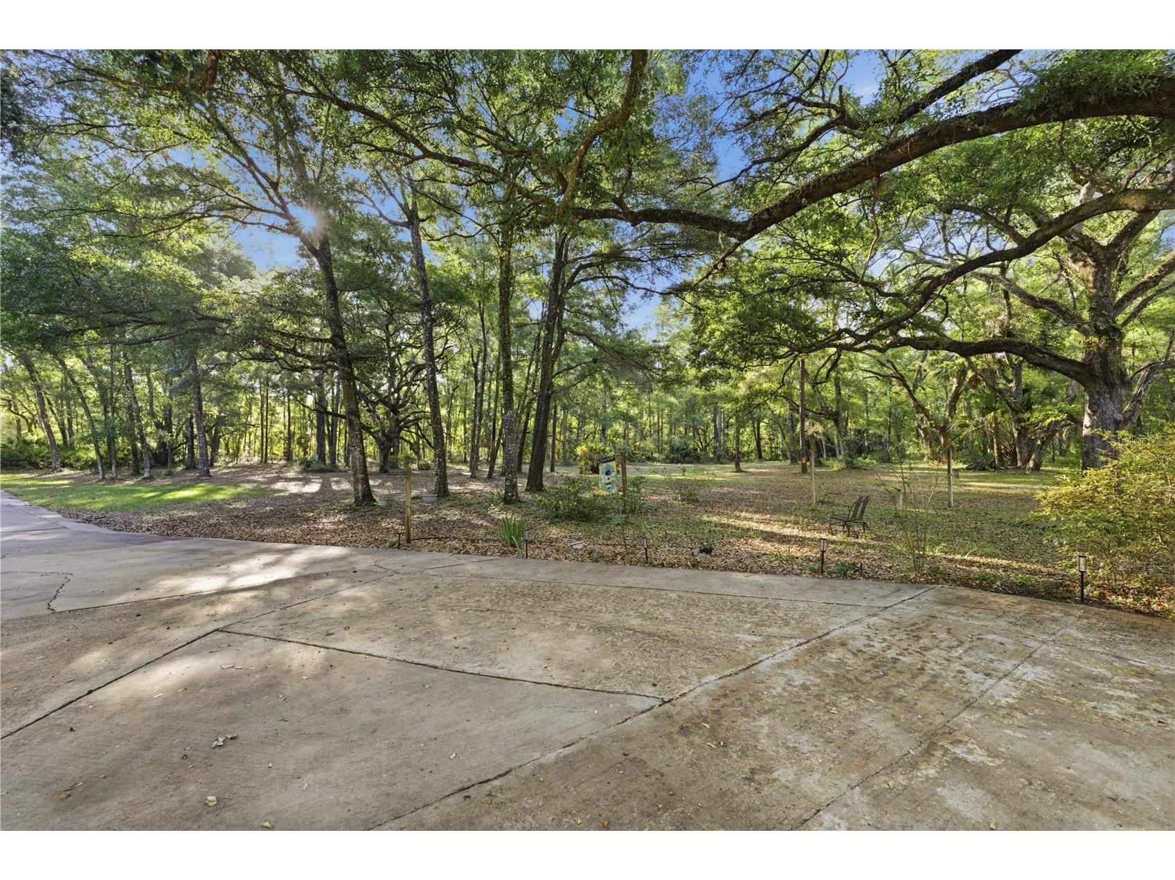 7850 NE 178th Terrace Williston FL 32696 OM723598 image51