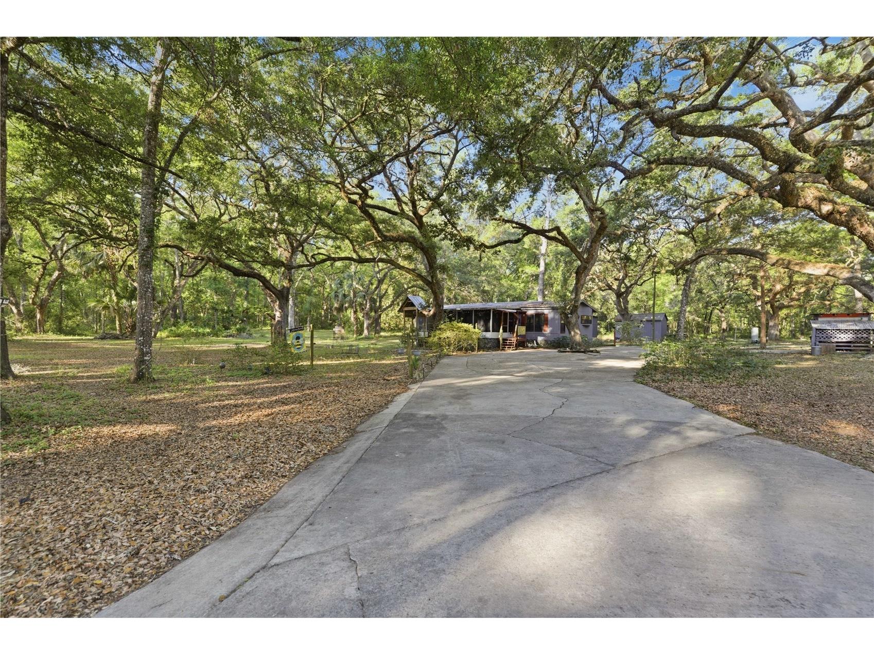 7850 NE 178th Terrace Williston FL 32696 OM723598 image52