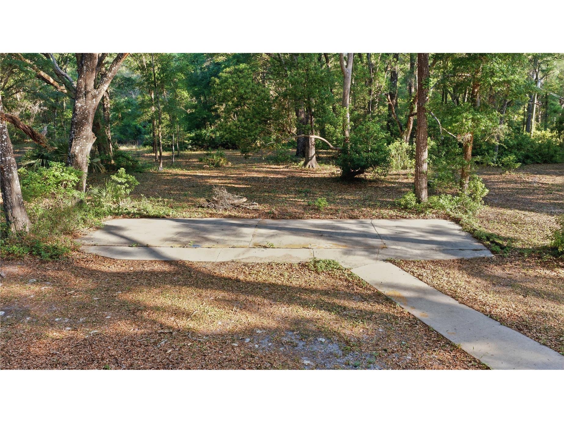 7850 NE 178th Terrace Williston FL 32696 OM723598 image54