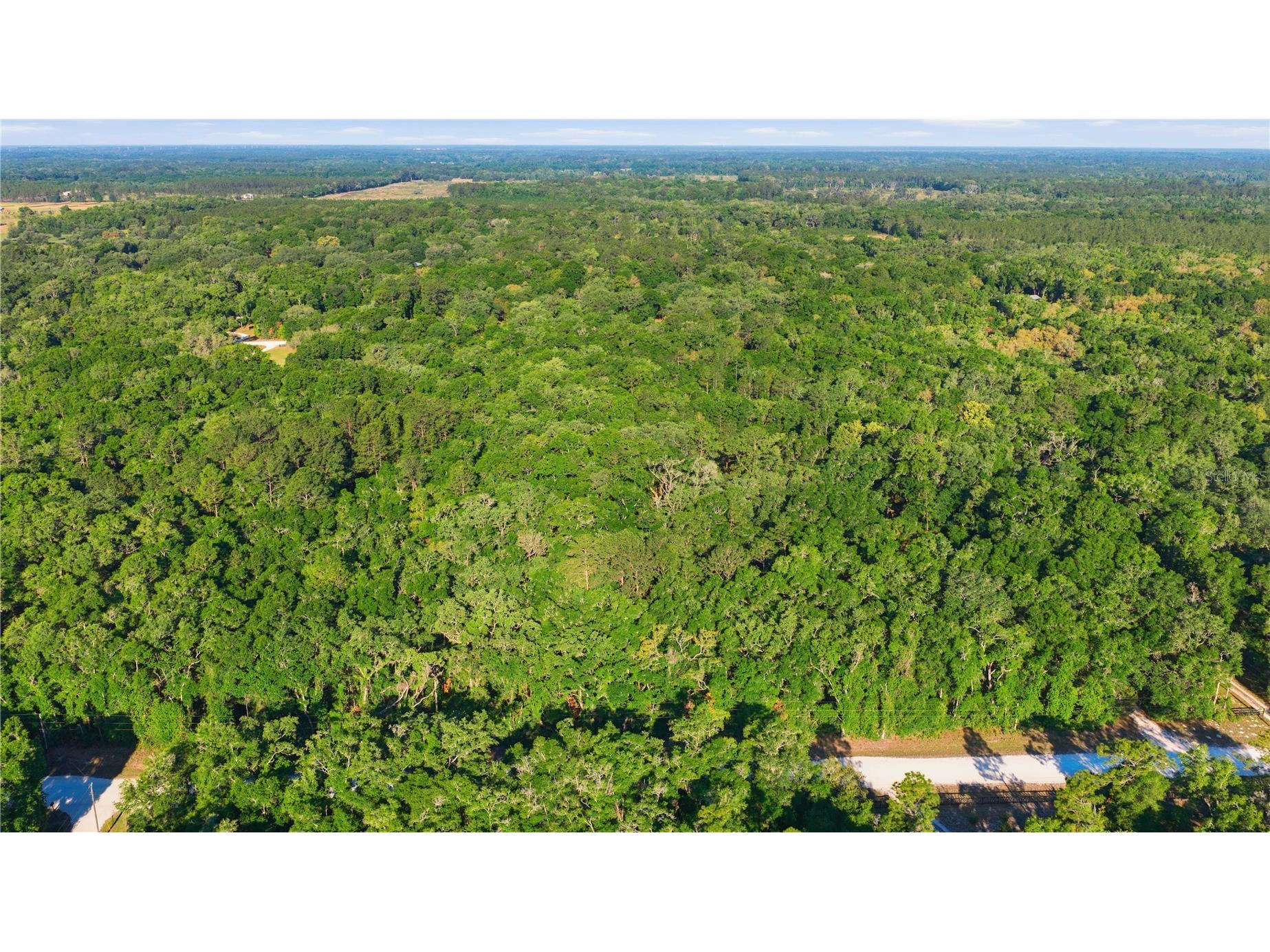 7850 NE 178th Terrace Williston FL 32696 OM723598 image56