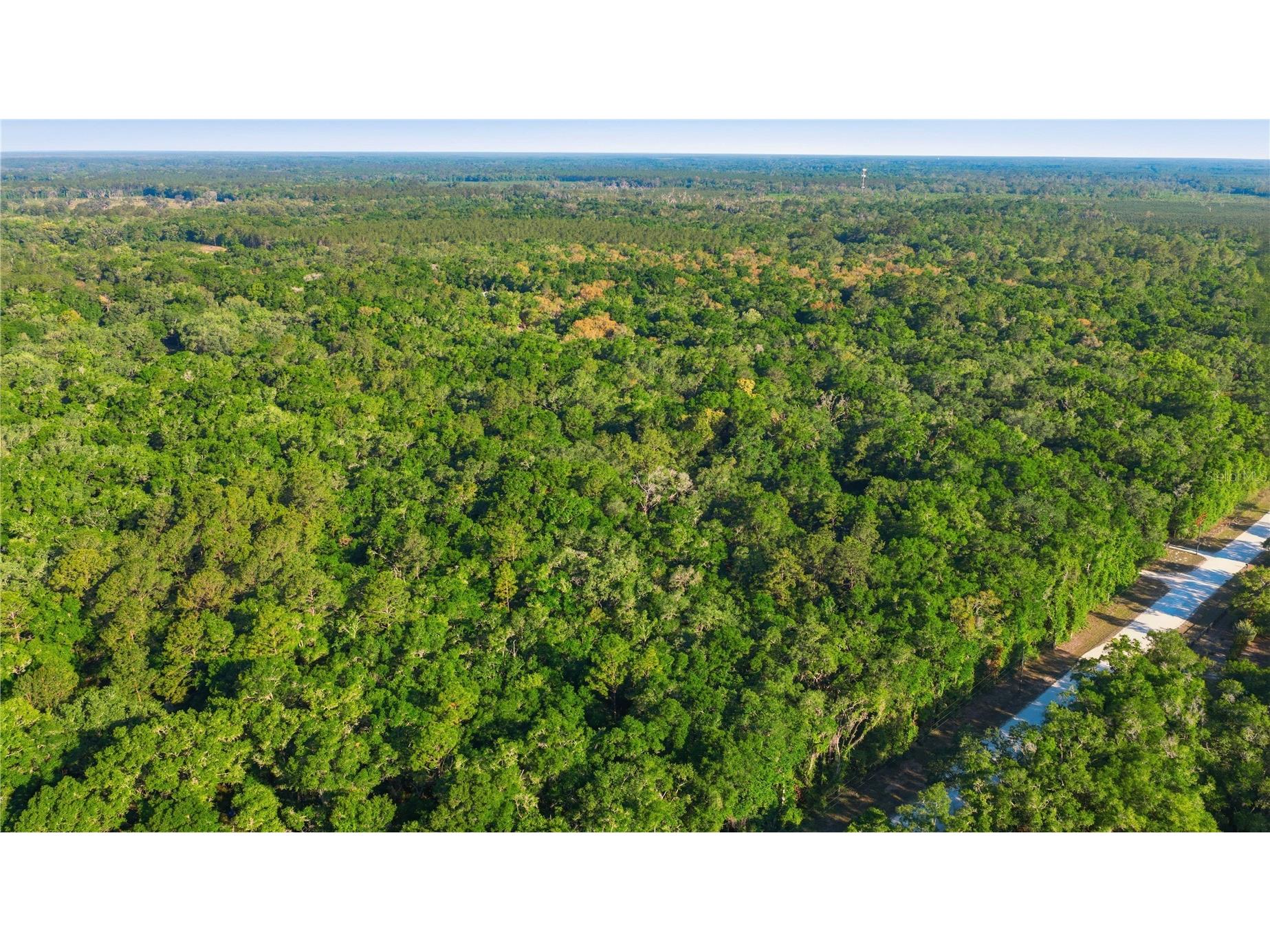 7850 NE 178th Terrace Williston FL 32696 OM723598 image58