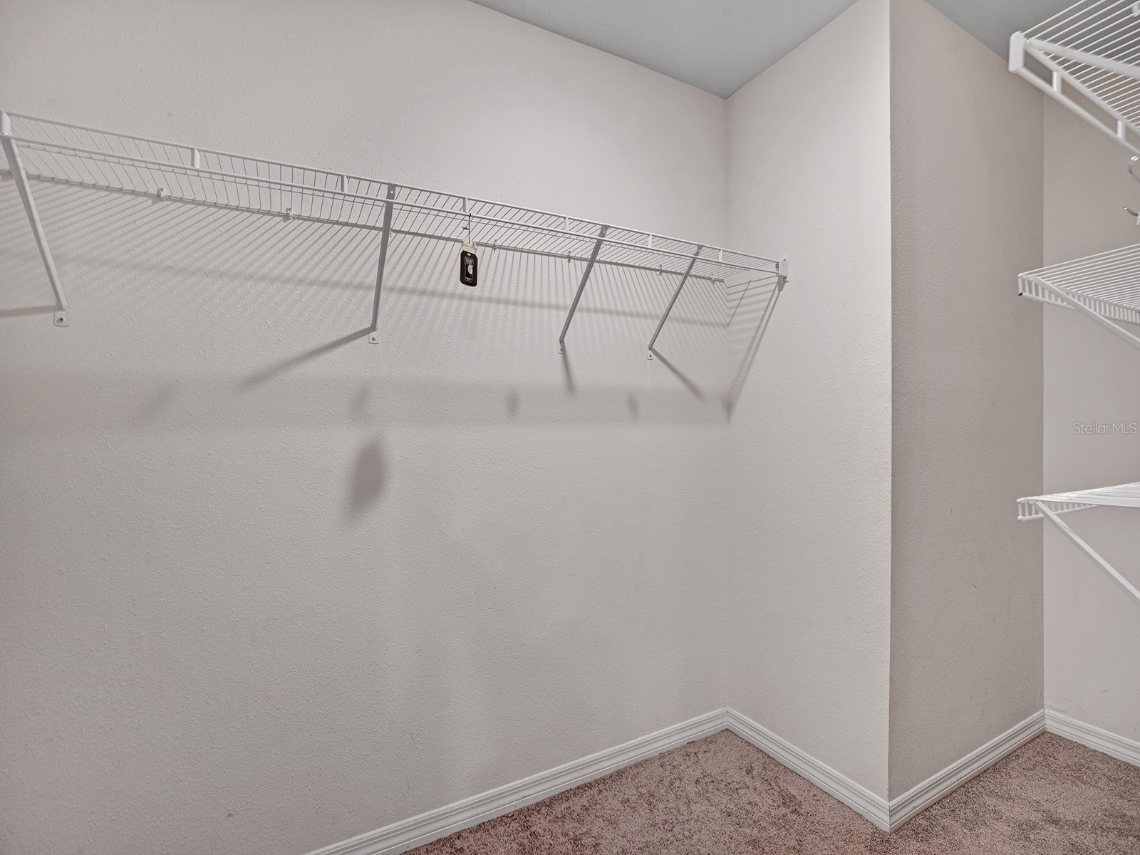 7850 Sail Clover Lane Zephyrhills FL 33540 TB8505145 image18
