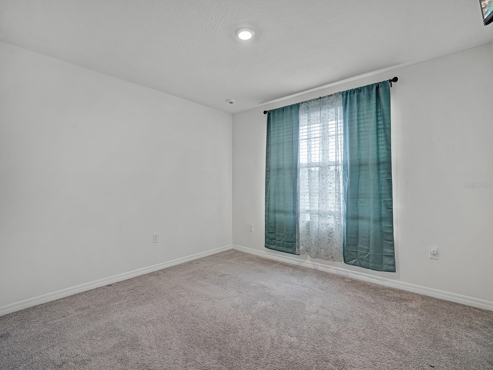 7850 Sail Clover Lane Zephyrhills FL 33540 TB8505145 image22