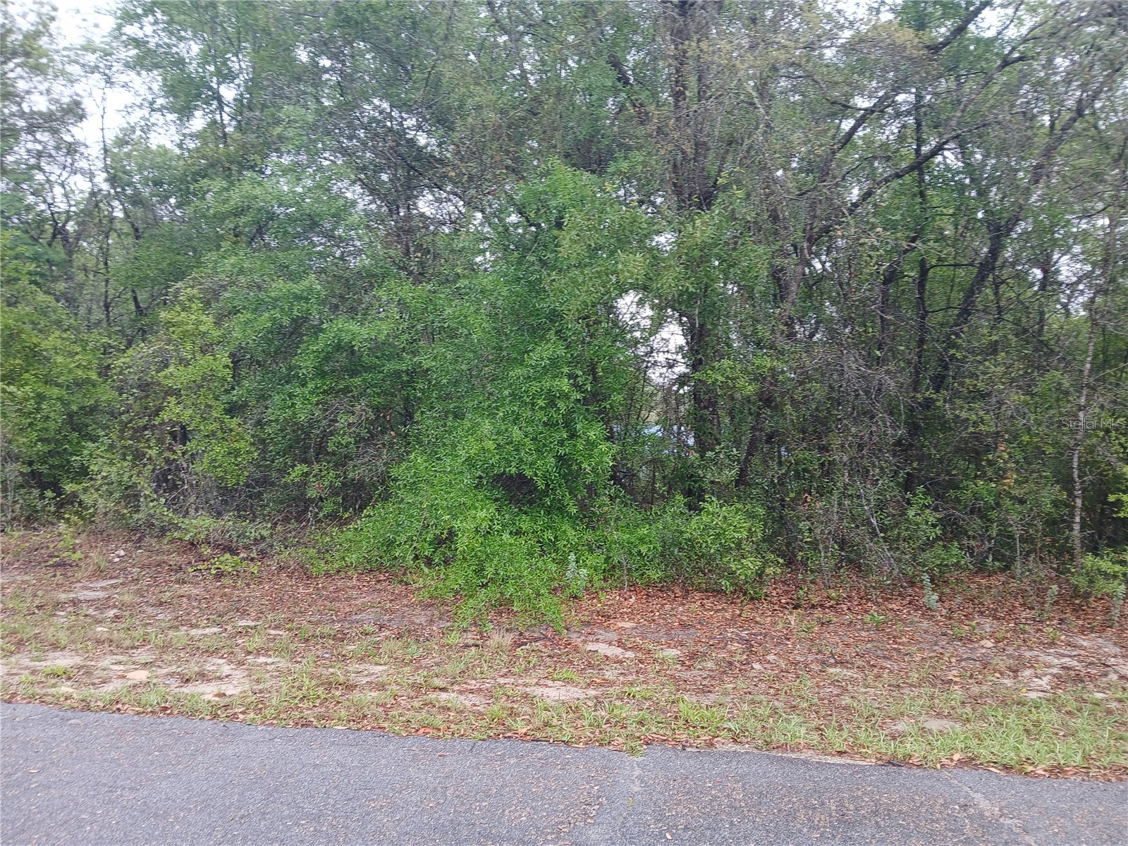 7851 N Vince Drive Citrus Springs FL 34434 OM722250 image1