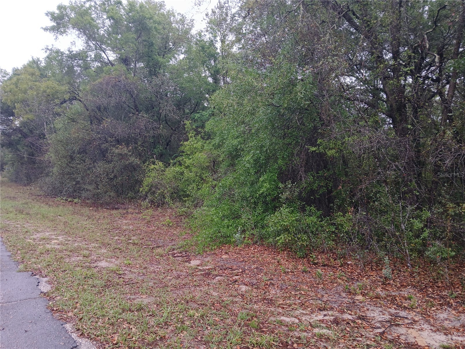 7851 N Vince Drive Citrus Springs FL 34434 OM722250 image2