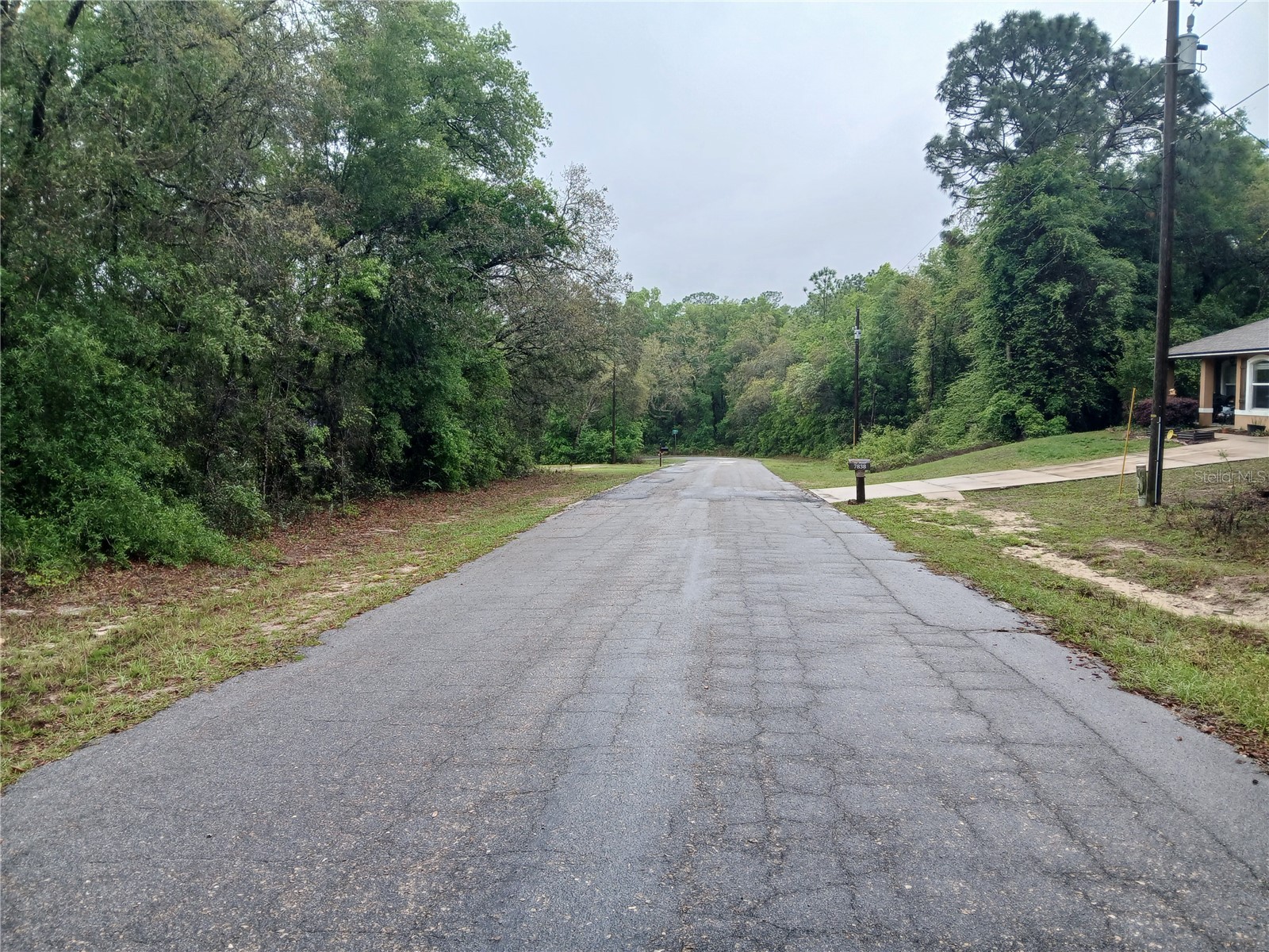 7851 N Vince Drive Citrus Springs FL 34434 OM722250 image4